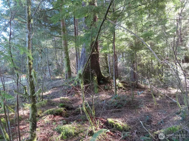 $155,800 | 80 Wilson Lane, South Bend, WA 98586