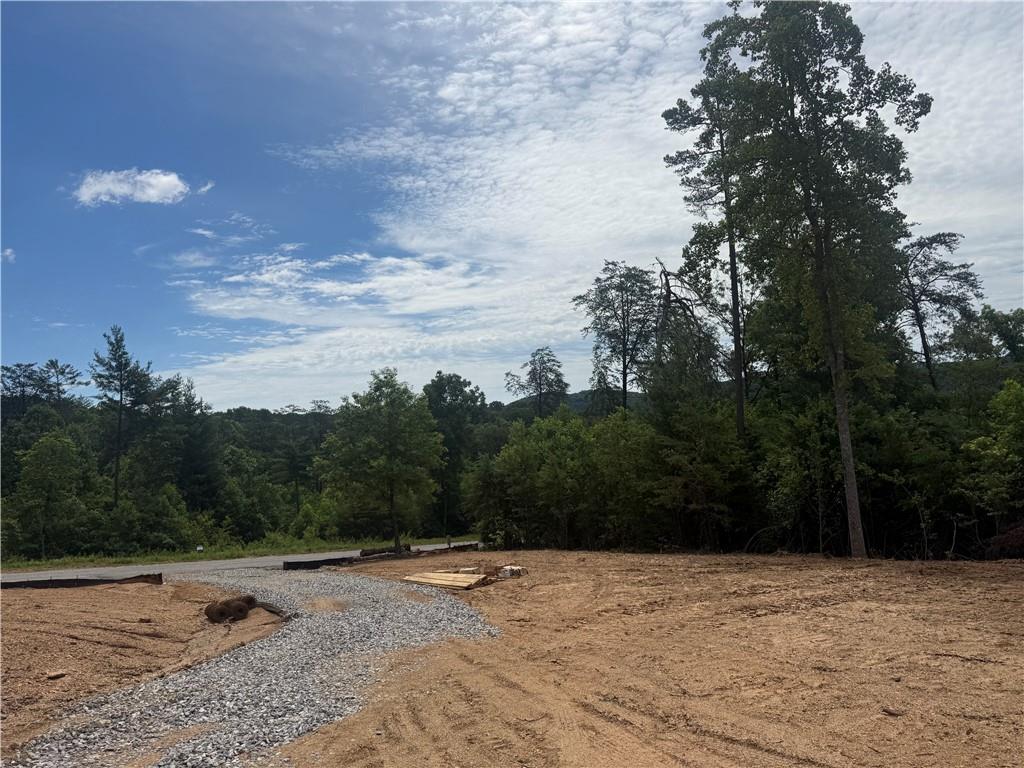 2 Mountain Road Morganton, GA 30560 - Photo 2 of 22