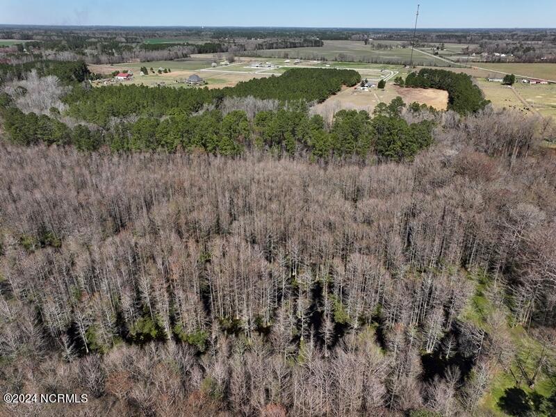Tbd McGougan Road Lumber Bridge, NC 28357 - Photo 6 of 16 DJI_20240312142419_0130_D