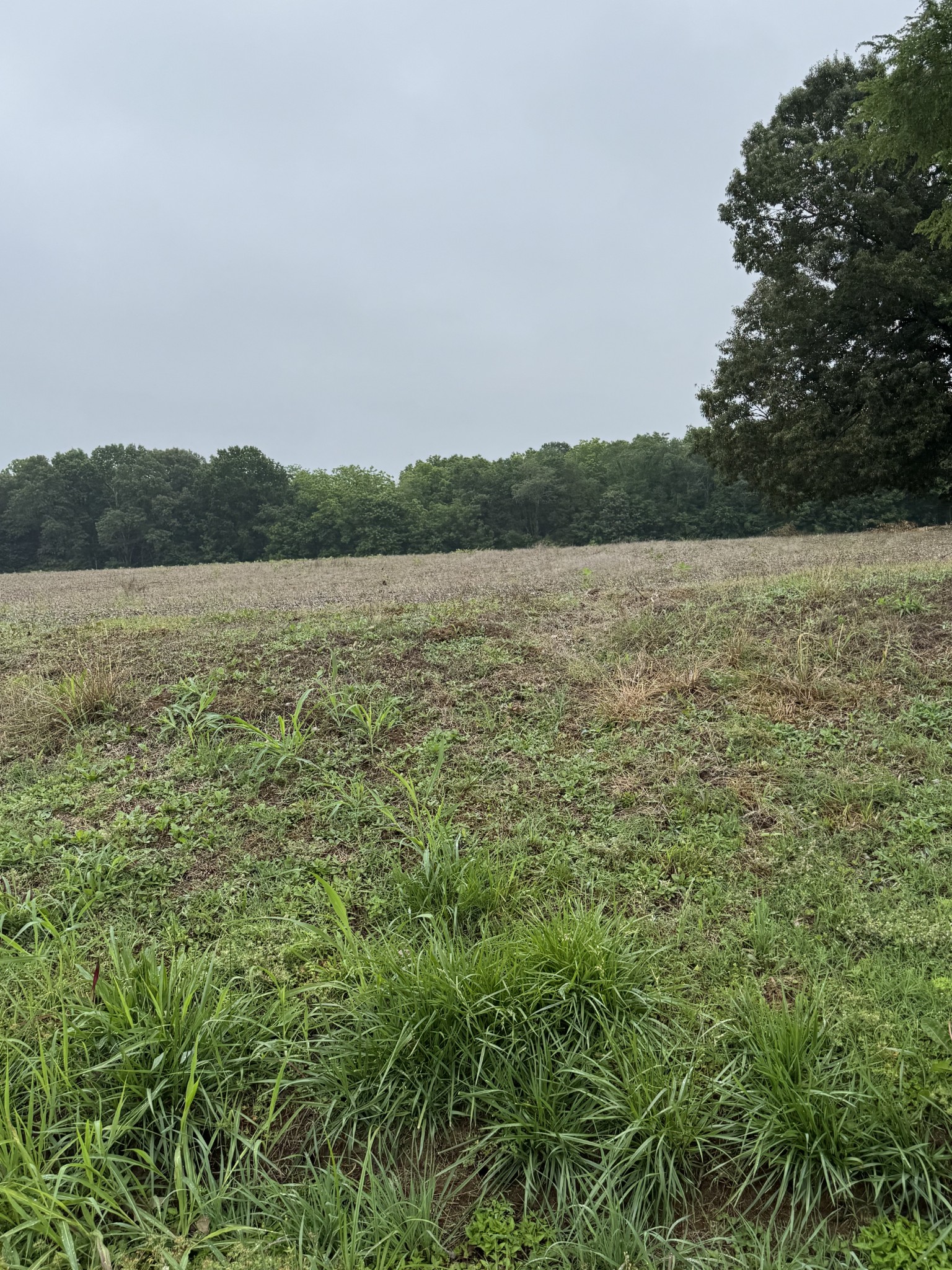 325 Harts Mill Road Atwood, TN 38220 - Photo 16 of 44