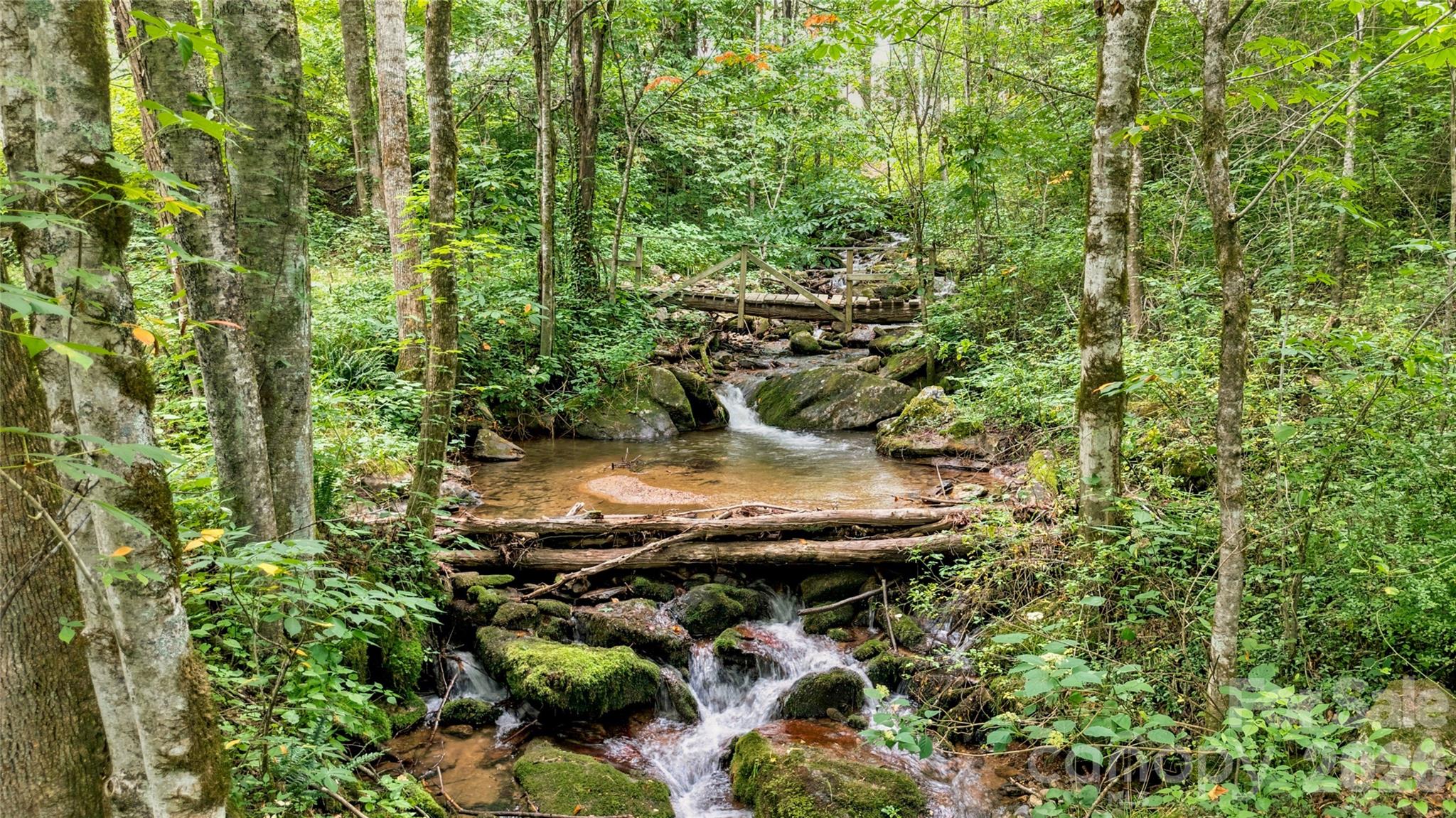 0 Fisher Creek Road Sylva, NC 28779 - Photo 12 of 18