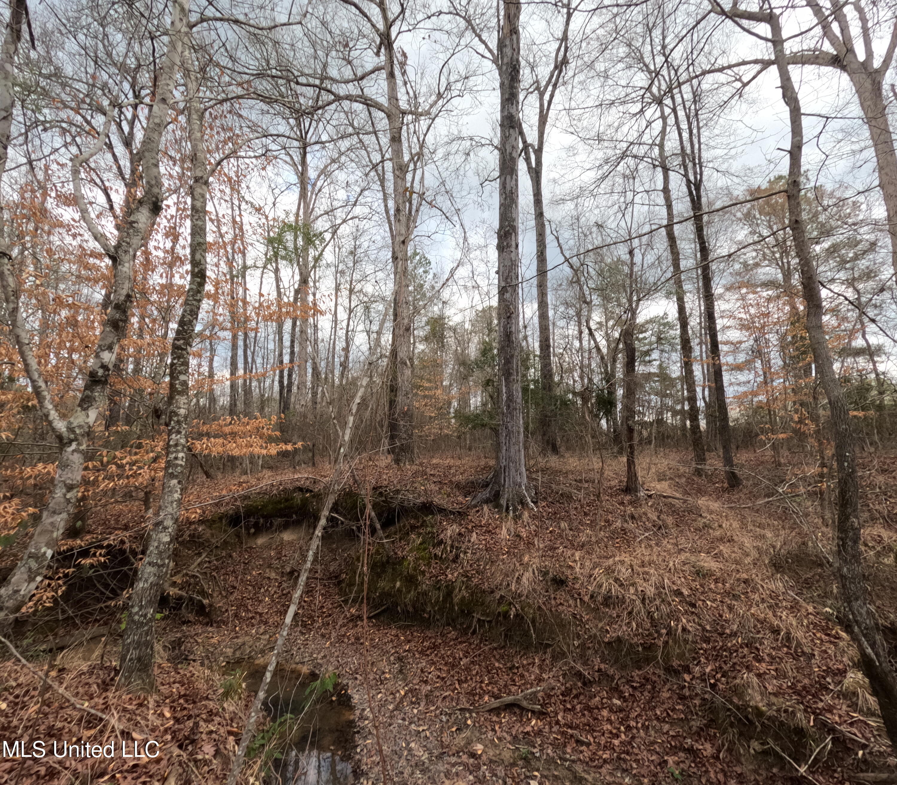 Rockport New Hebron Road Newhebron, MS 39140 - Photo 1 of 59 GOPR0827