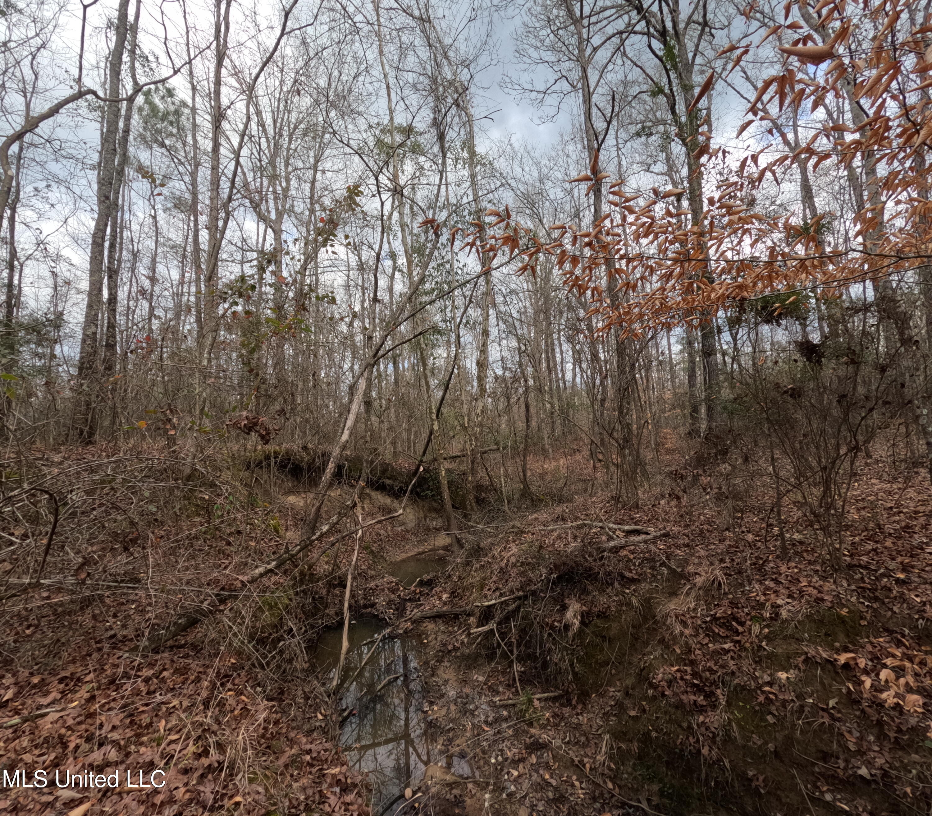 Rockport New Hebron Road Newhebron, MS 39140 - Photo 12 of 59 GOPR0829