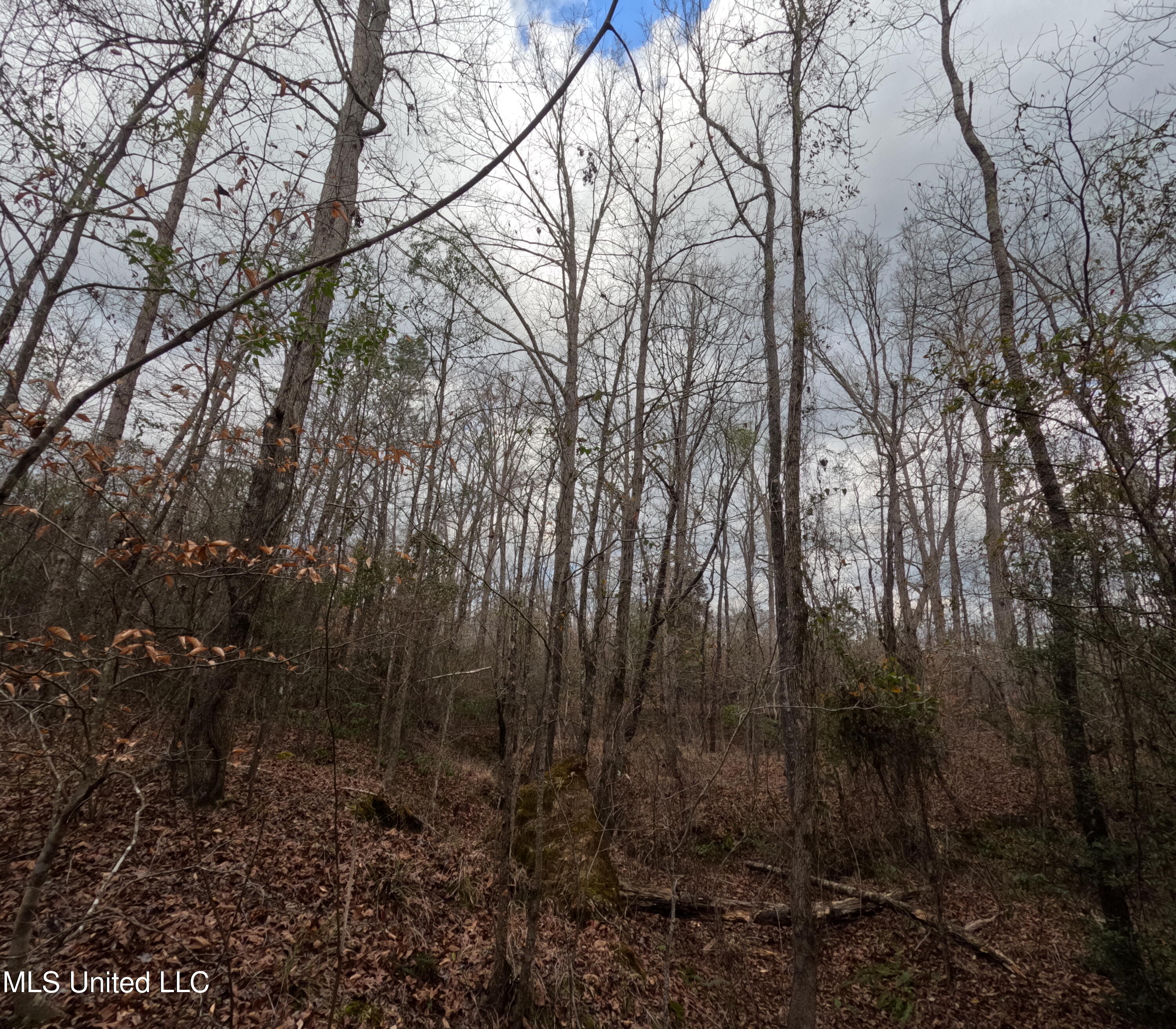 Rockport New Hebron Road Newhebron, MS 39140 - Photo 13 of 59 GOPR0830