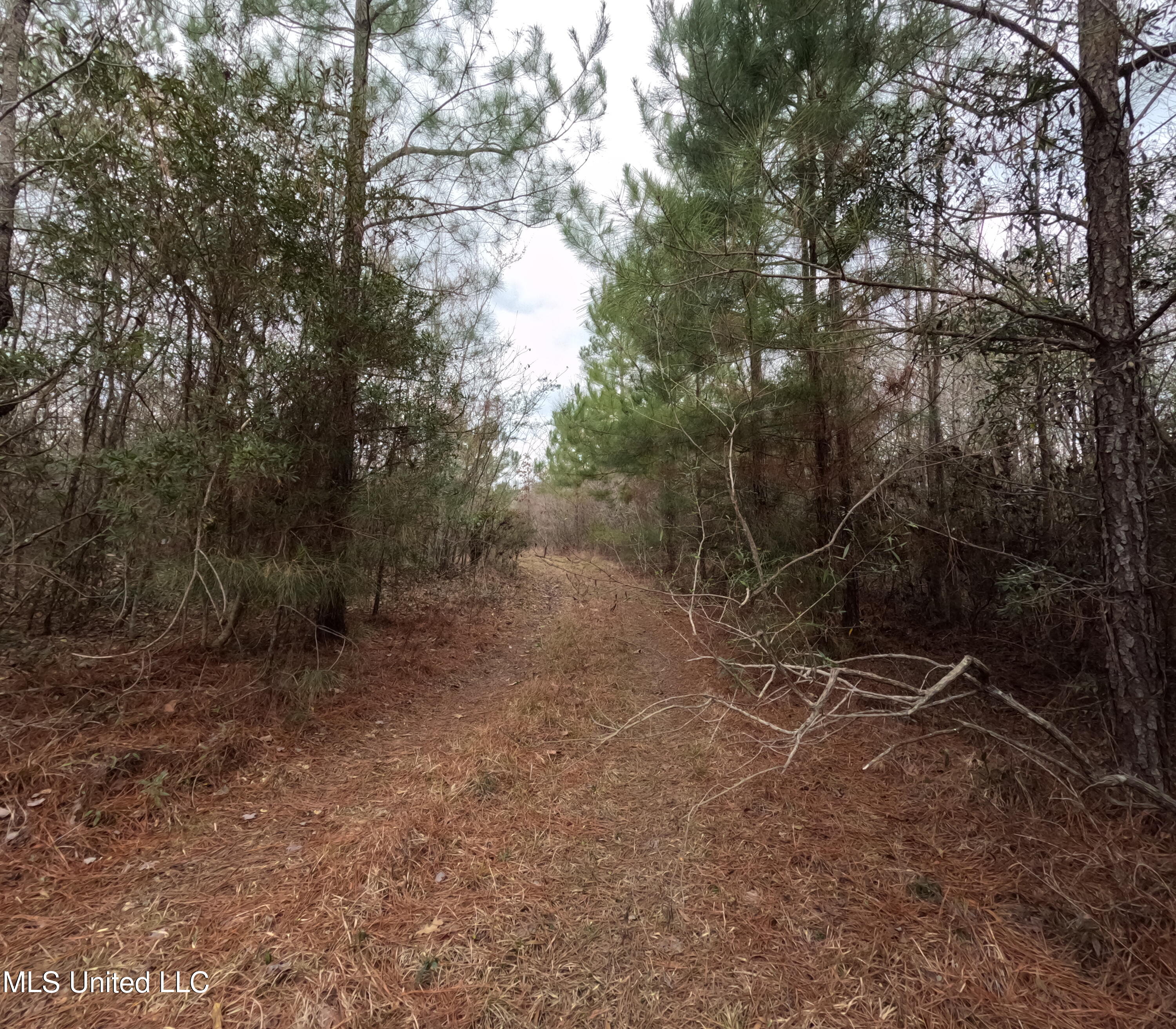 Rockport New Hebron Road Newhebron, MS 39140 - Photo 14 of 59 GOPR0831