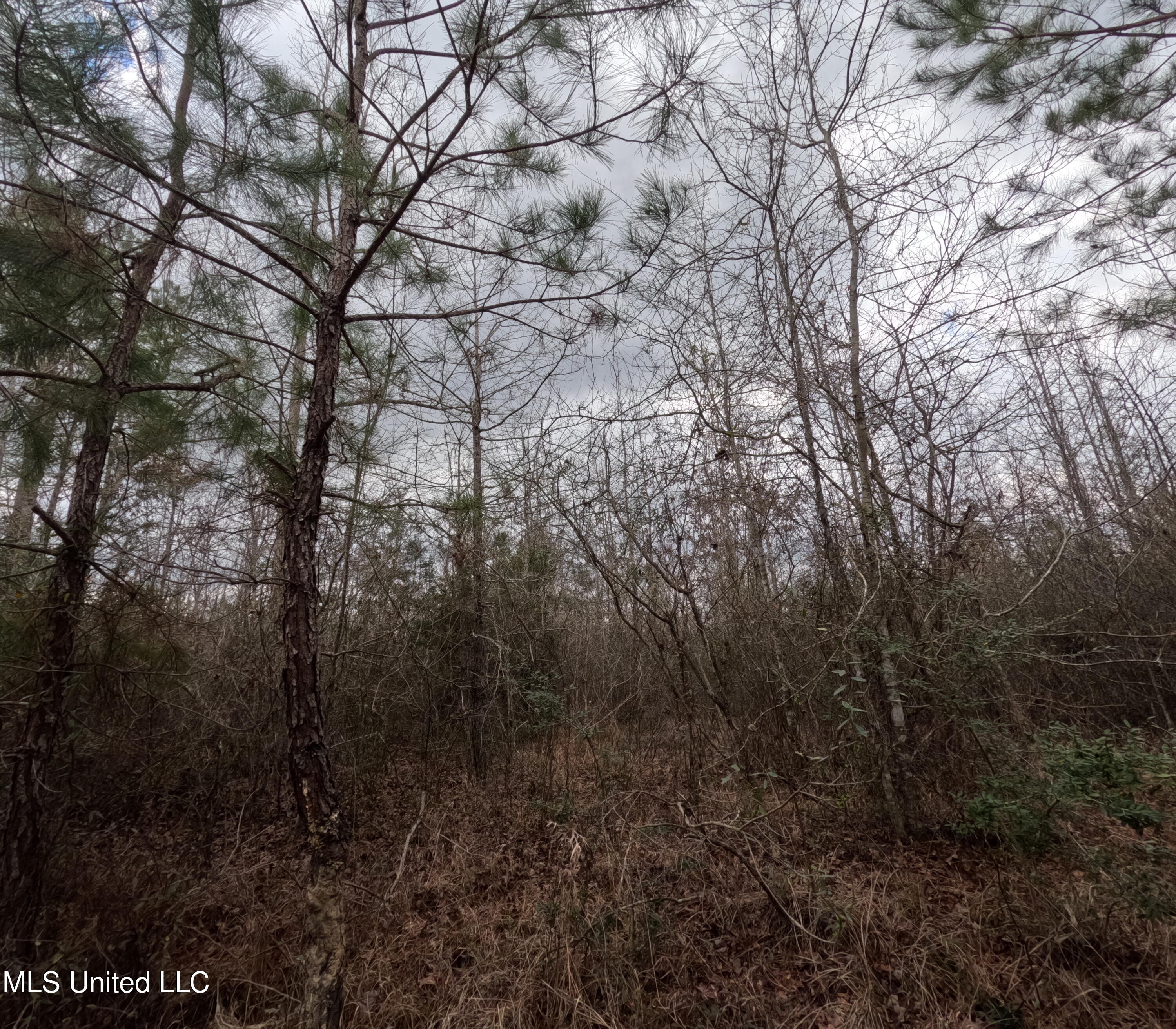 Rockport New Hebron Road Newhebron, MS 39140 - Photo 15 of 59 GOPR0832