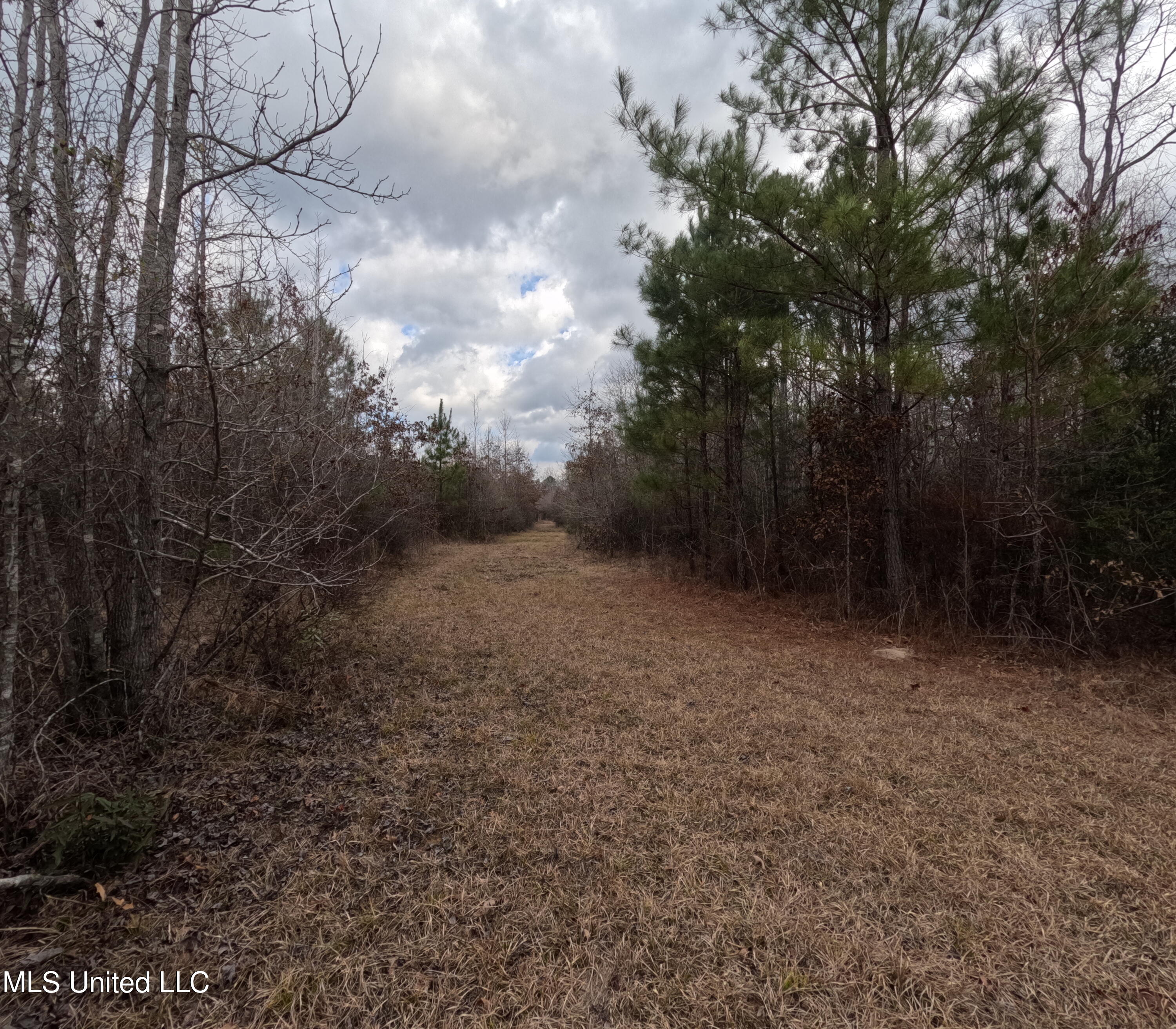 Rockport New Hebron Road Newhebron, MS 39140 - Photo 16 of 59 GOPR0833