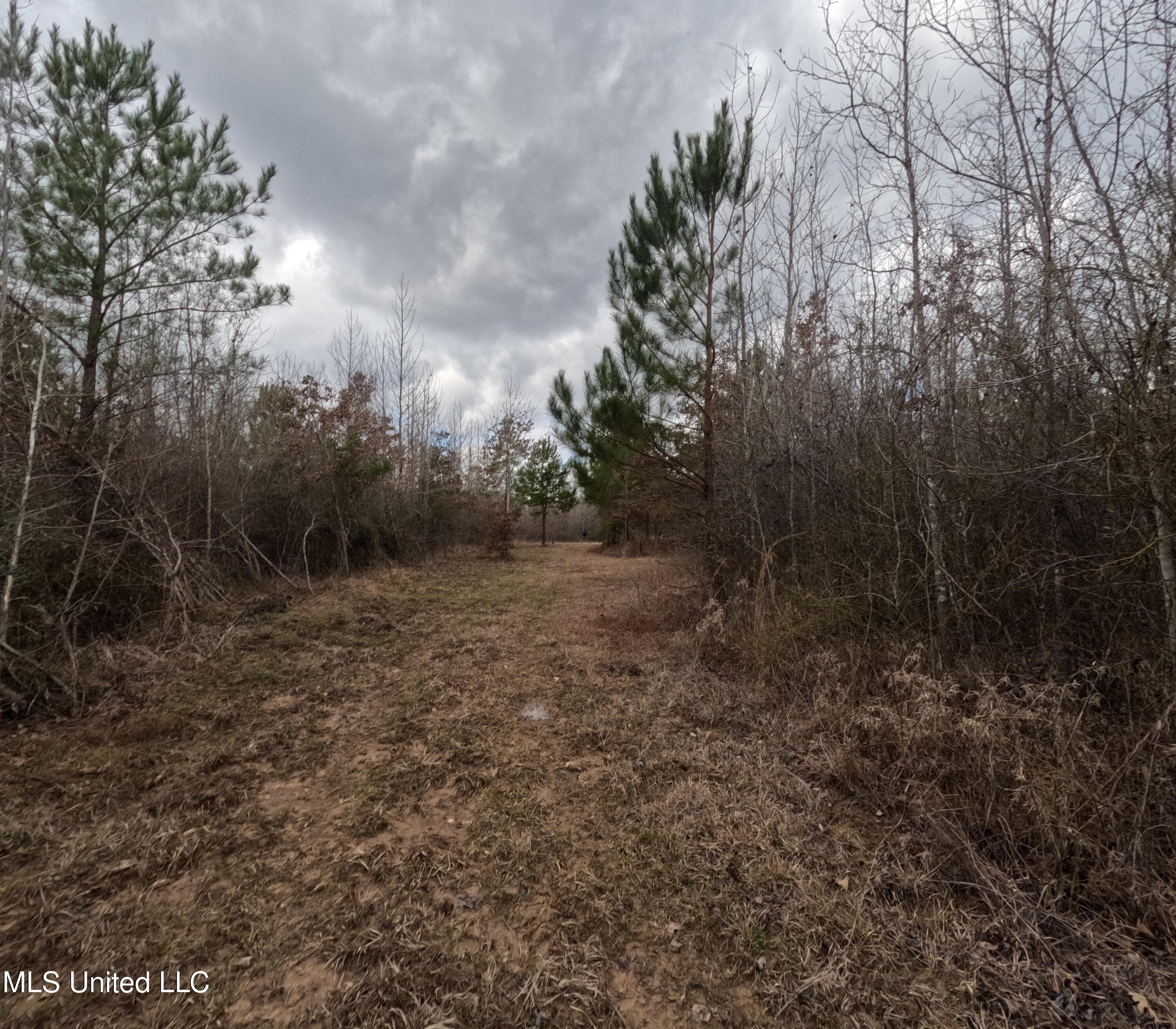 Rockport New Hebron Road Newhebron, MS 39140 - Photo 17 of 59 GOPR0834