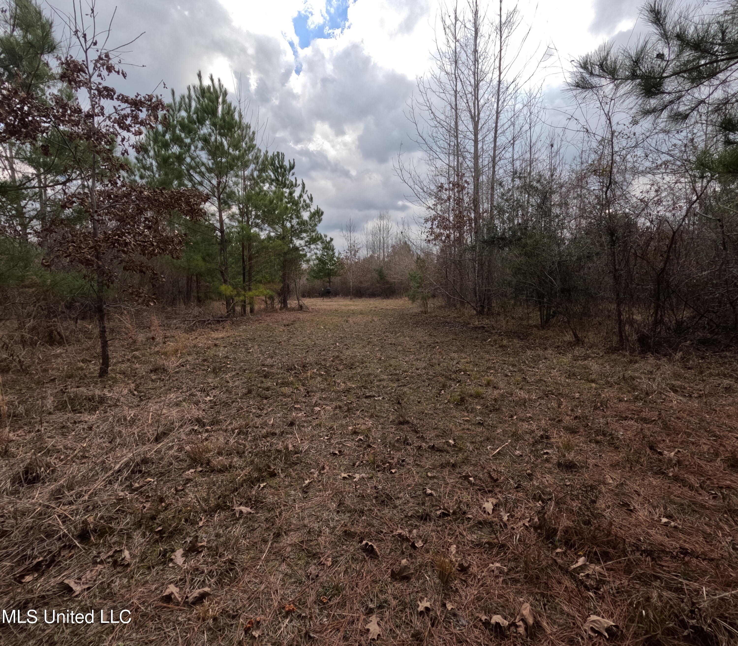 Rockport New Hebron Road Newhebron, MS 39140 - Photo 18 of 59 GOPR0836