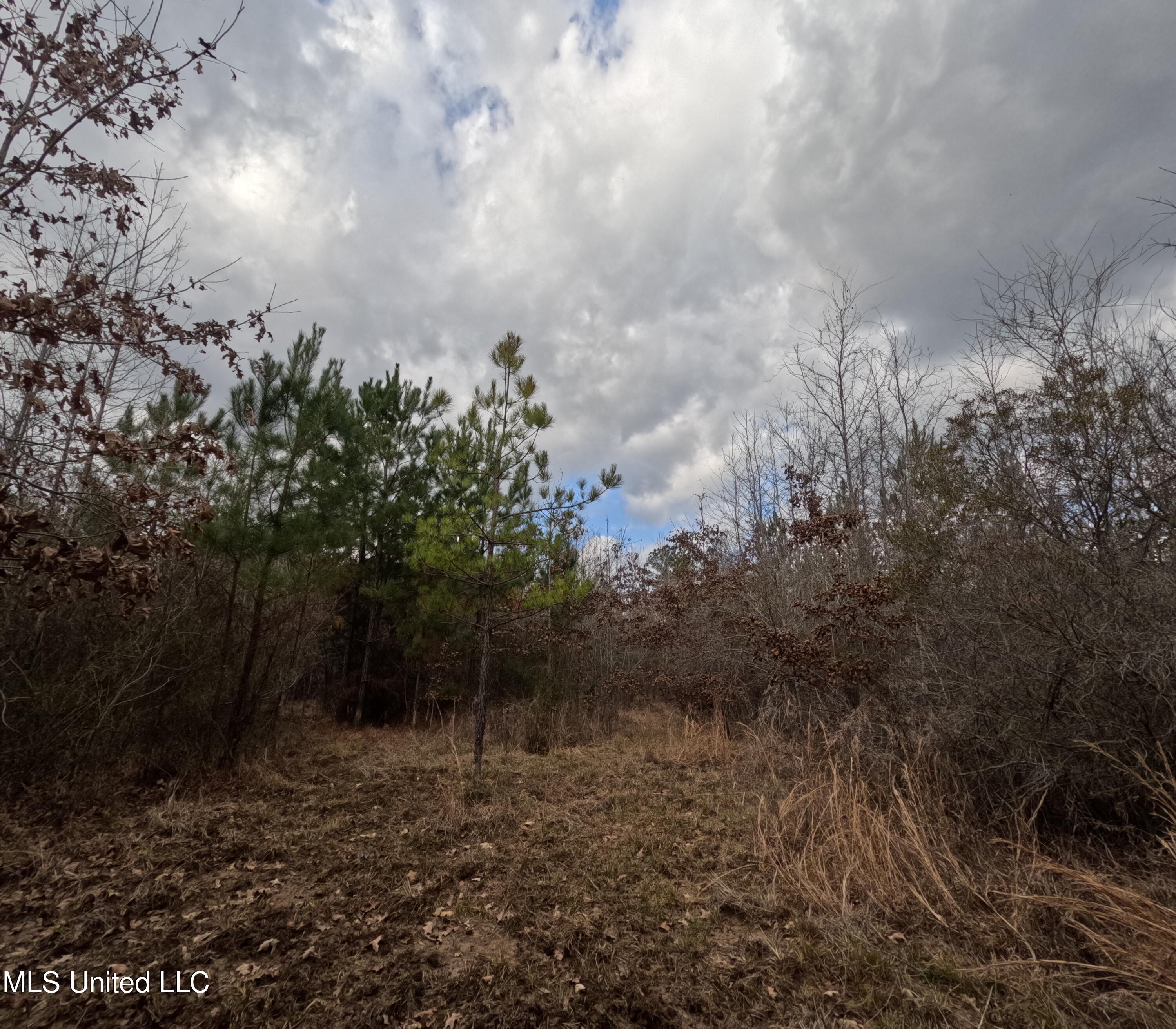 Rockport New Hebron Road Newhebron, MS 39140 - Photo 19 of 59 GOPR0837