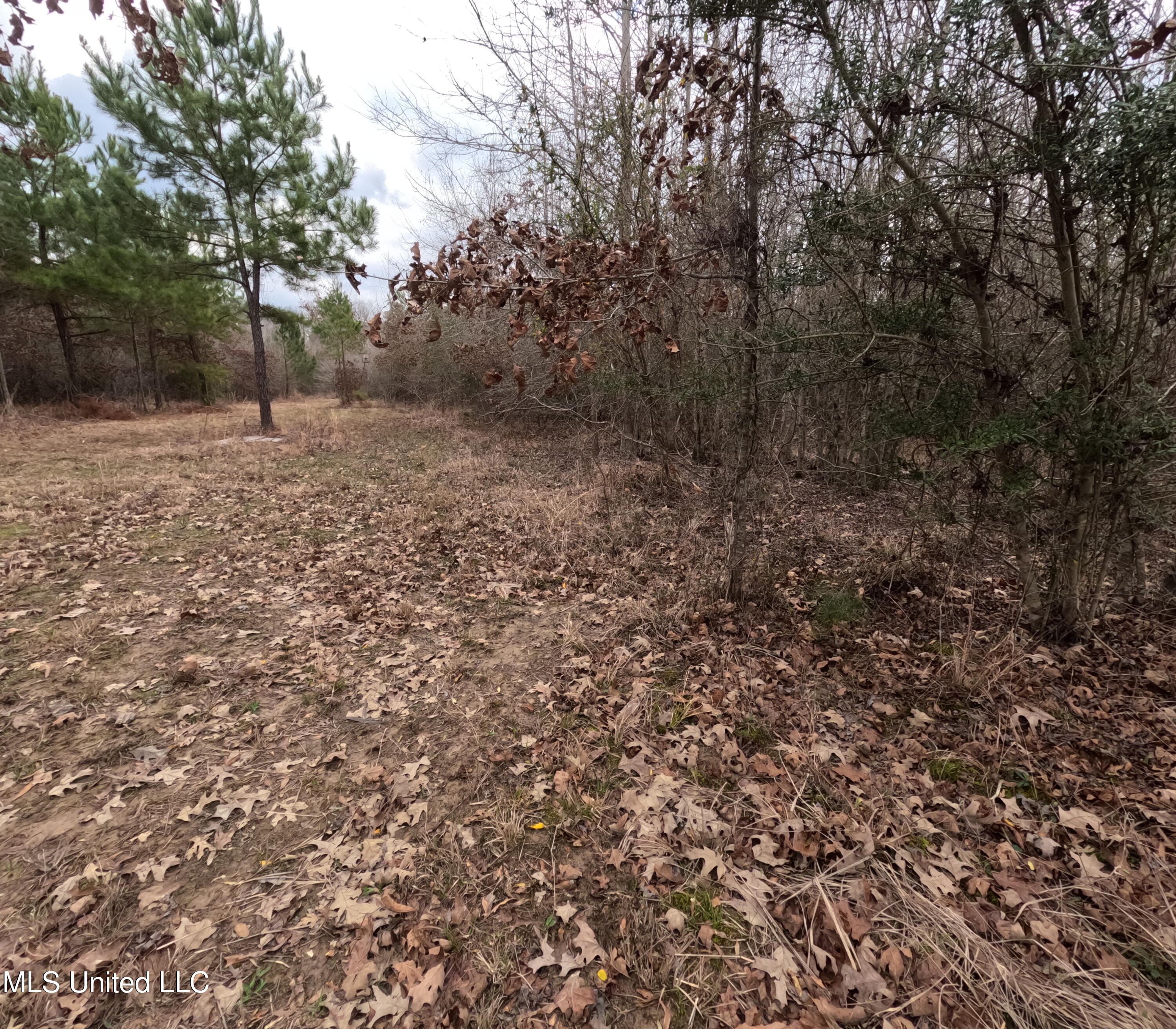 Rockport New Hebron Road Newhebron, MS 39140 - Photo 20 of 59 GOPR0838