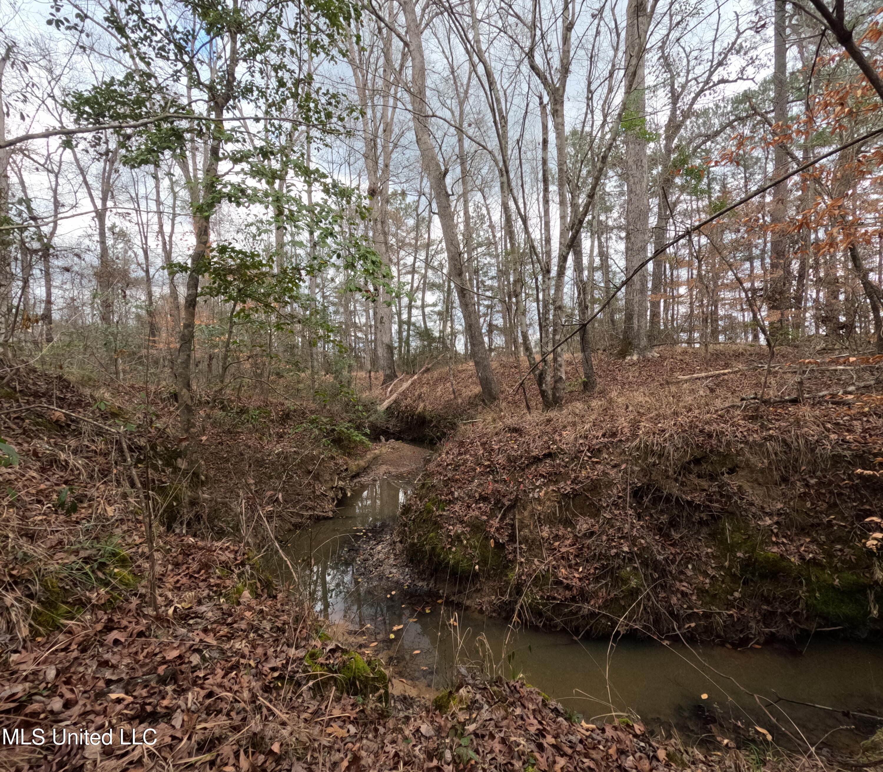 Rockport New Hebron Road Newhebron, MS 39140 - Photo 2 of 59 GOPR0823