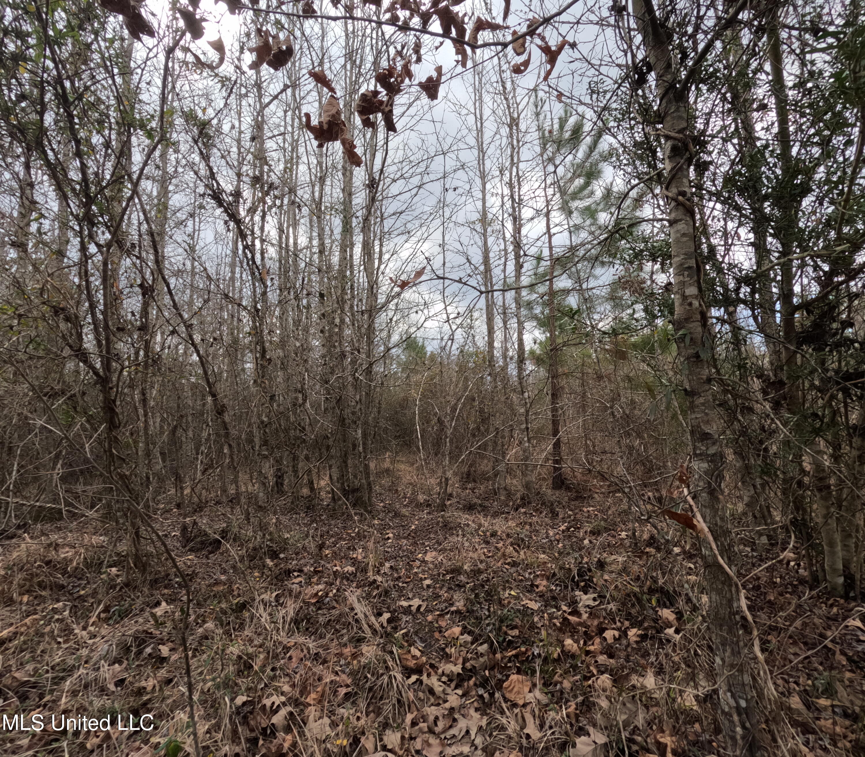 Rockport New Hebron Road Newhebron, MS 39140 - Photo 21 of 59 GOPR0839