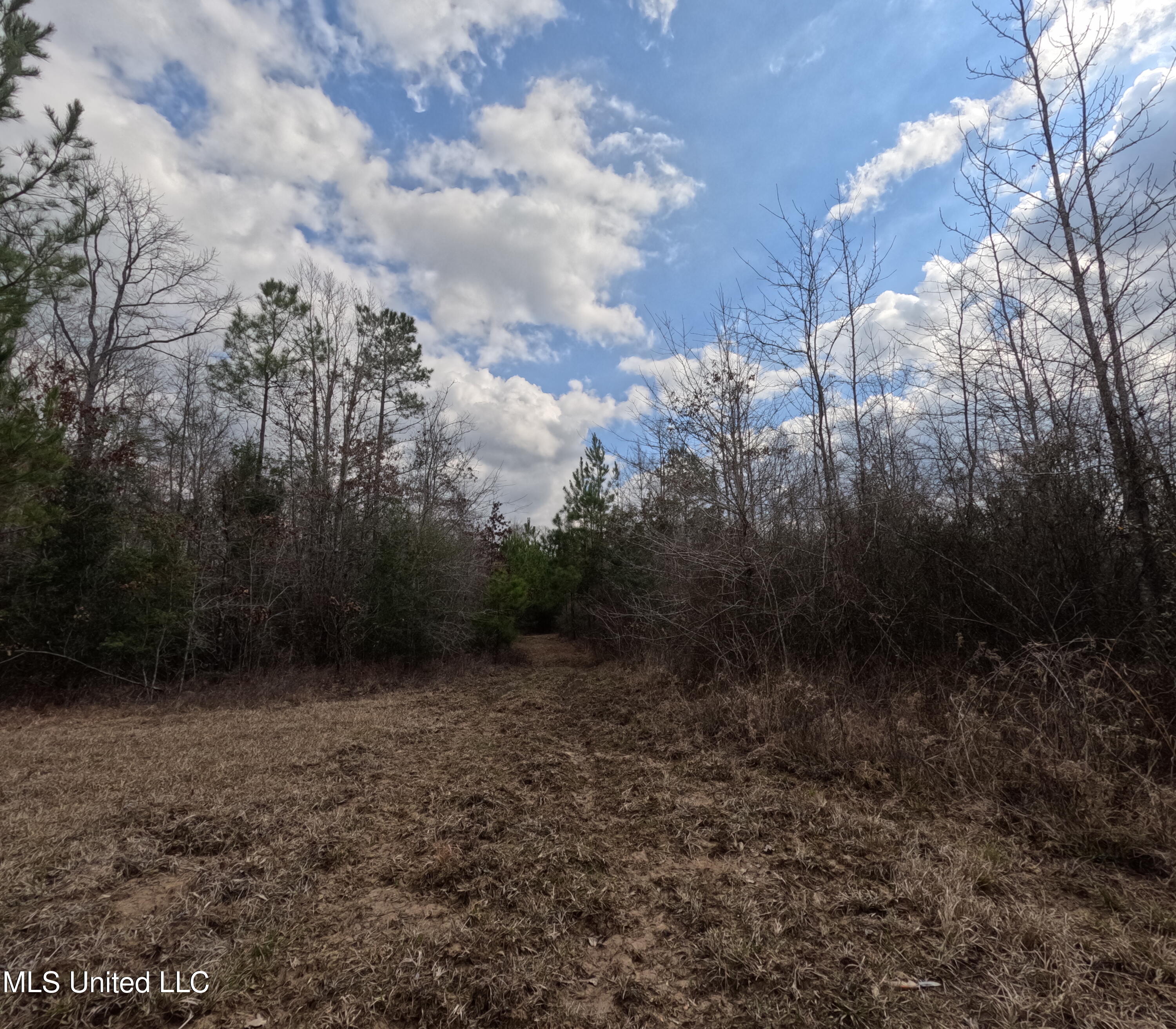 Rockport New Hebron Road Newhebron, MS 39140 - Photo 22 of 59 GOPR0840