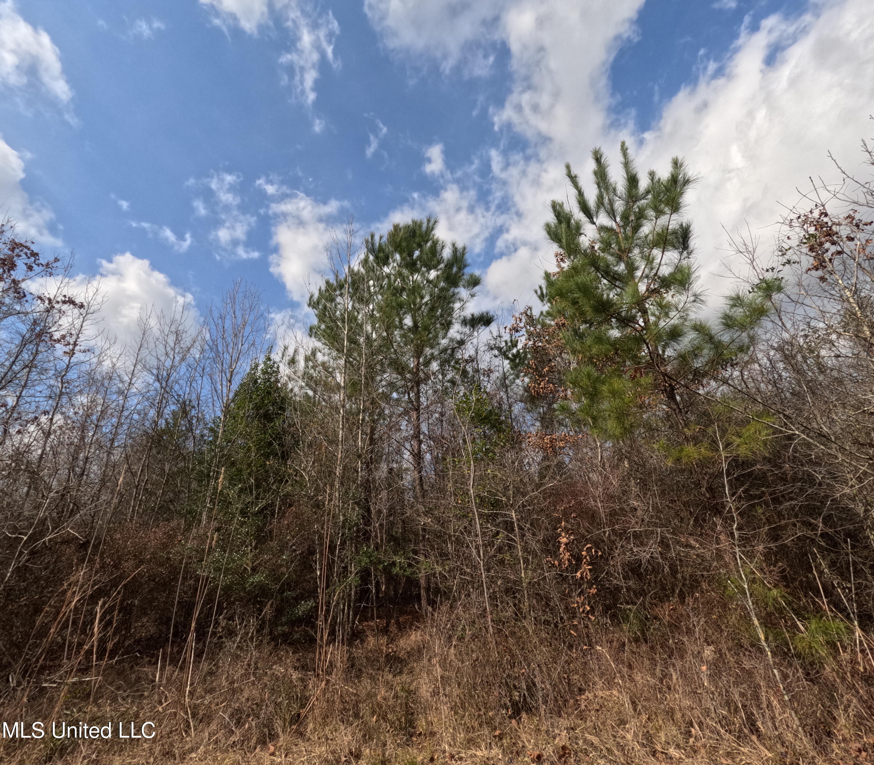 Rockport New Hebron Road Newhebron, MS 39140 - Photo 23 of 59 GOPR0841