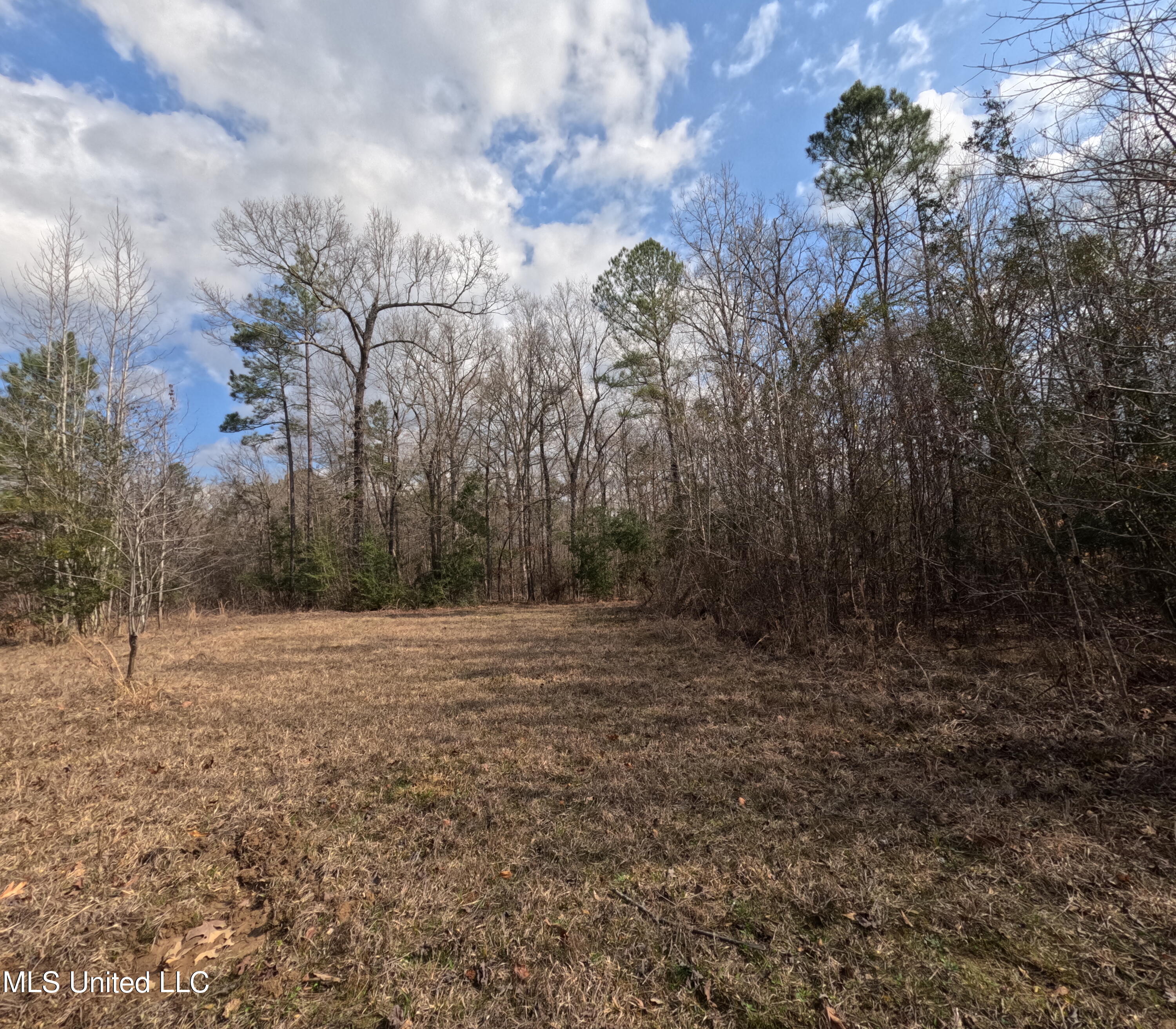 Rockport New Hebron Road Newhebron, MS 39140 - Photo 24 of 59 GOPR0843