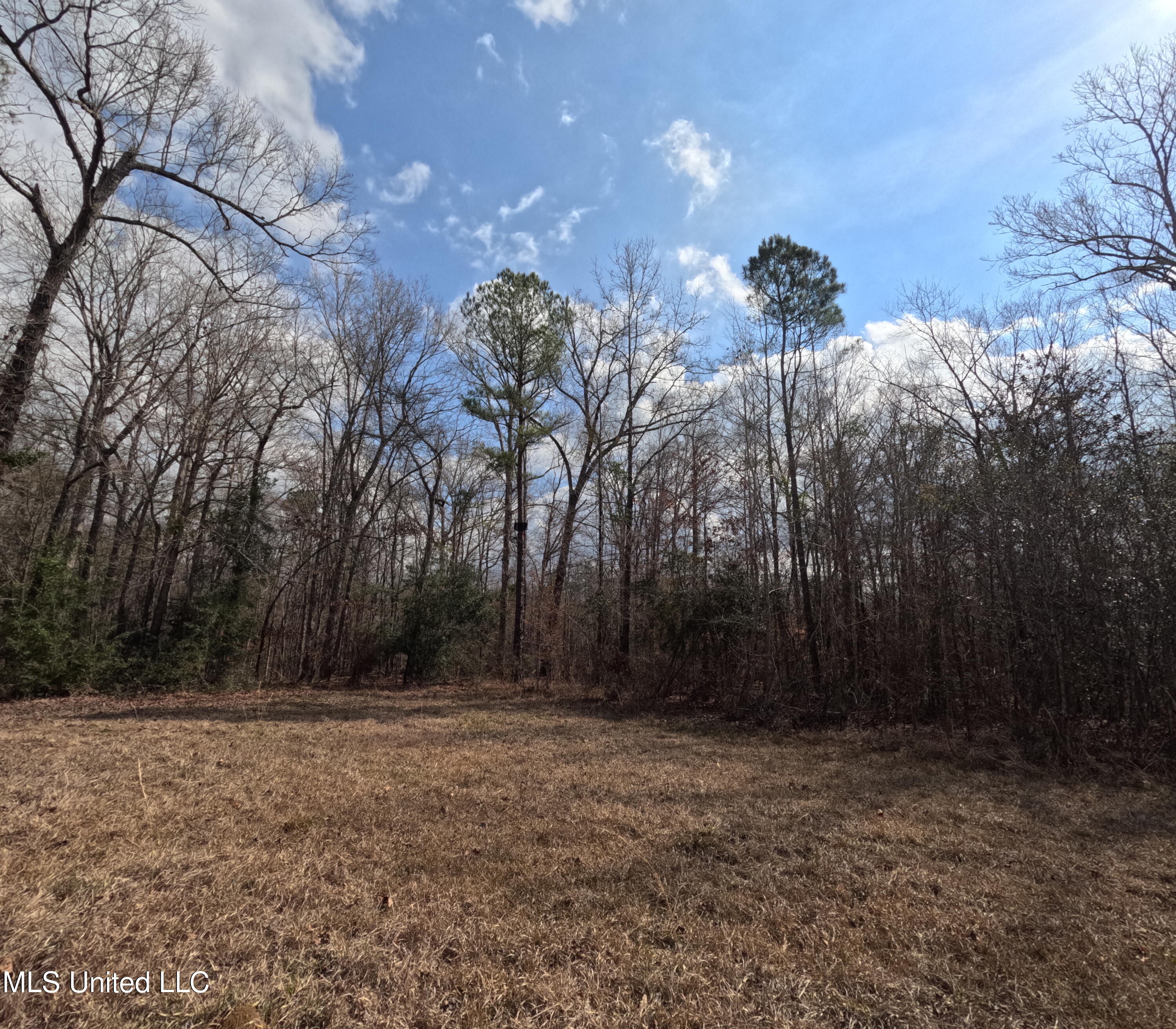 Rockport New Hebron Road Newhebron, MS 39140 - Photo 25 of 59 GOPR0844