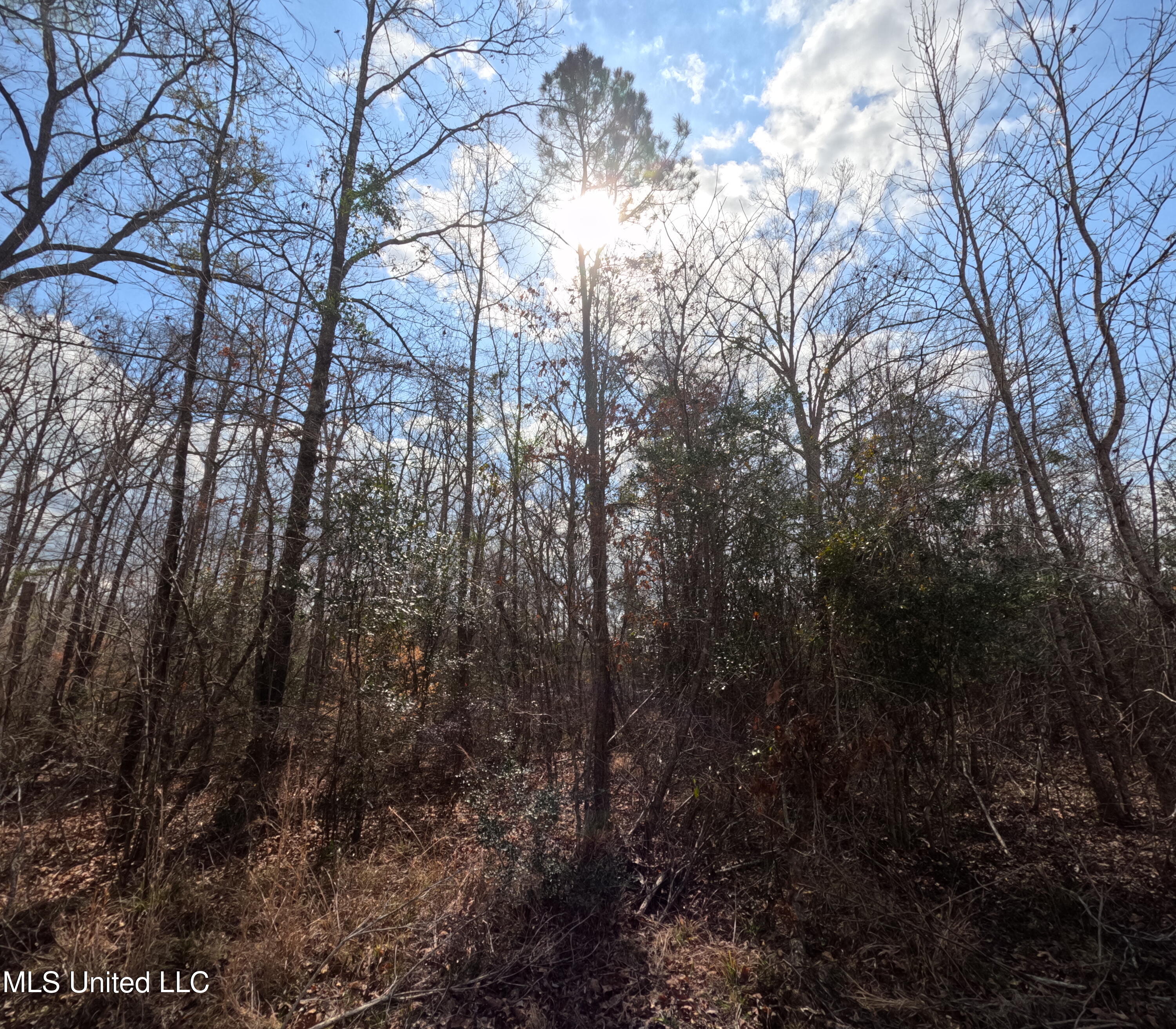 Rockport New Hebron Road Newhebron, MS 39140 - Photo 26 of 59 GOPR0846