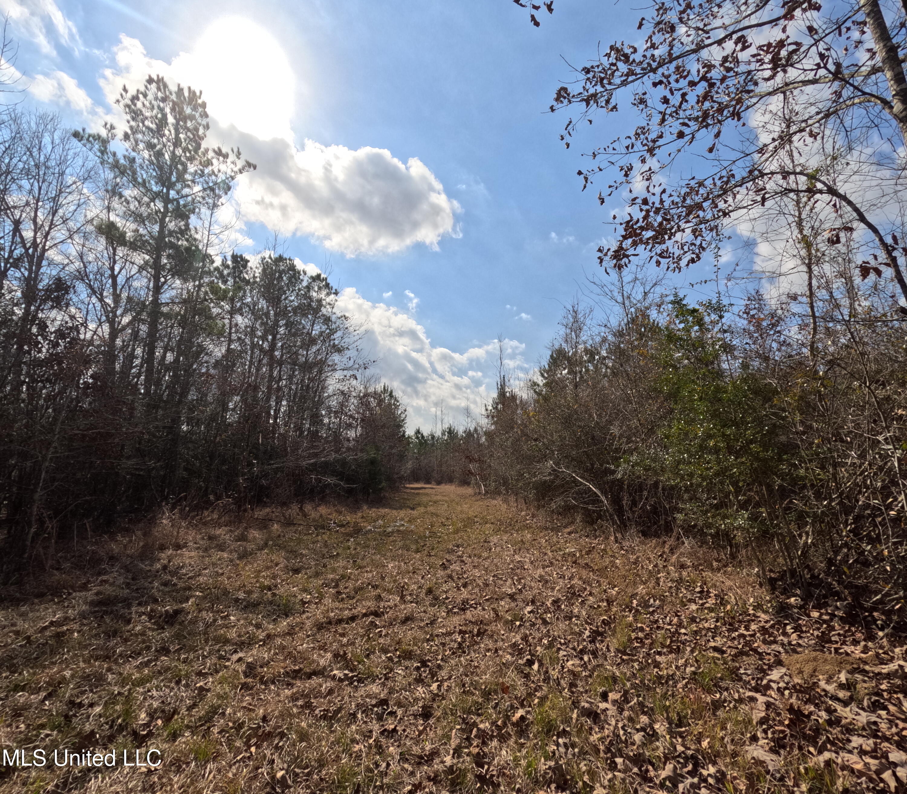 Rockport New Hebron Road Newhebron, MS 39140 - Photo 27 of 59 GOPR0847