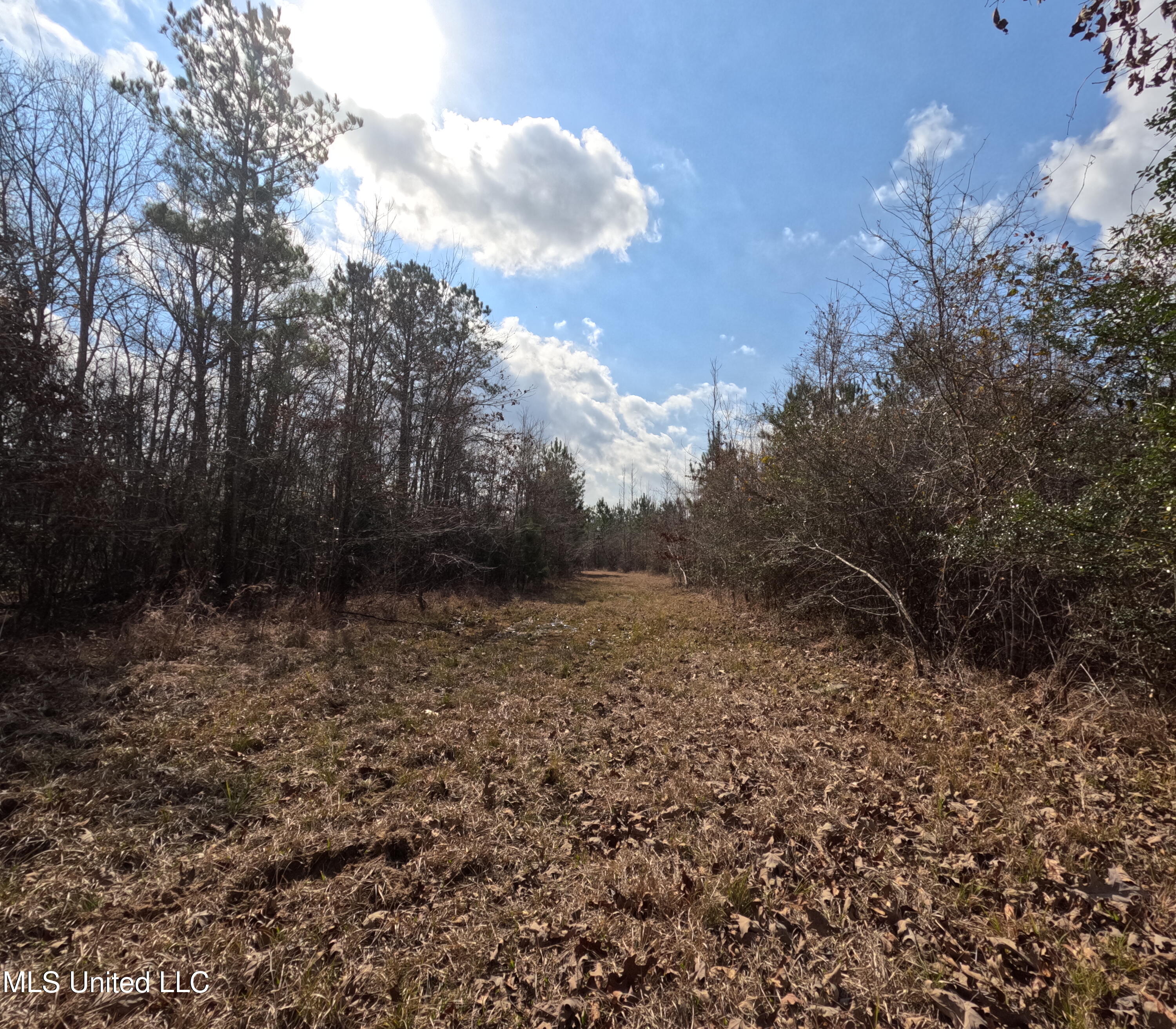 Rockport New Hebron Road Newhebron, MS 39140 - Photo 28 of 59 GOPR0848