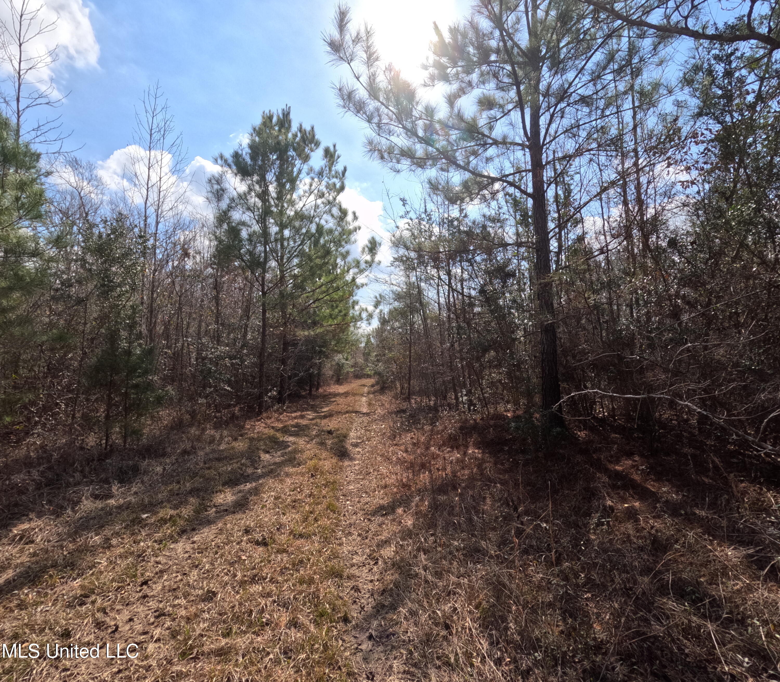 Rockport New Hebron Road Newhebron, MS 39140 - Photo 29 of 59 GOPR0849