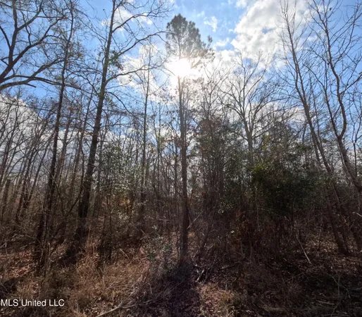 $378,000 | Rockport New Hebron Road, Newhebron, MS 39140