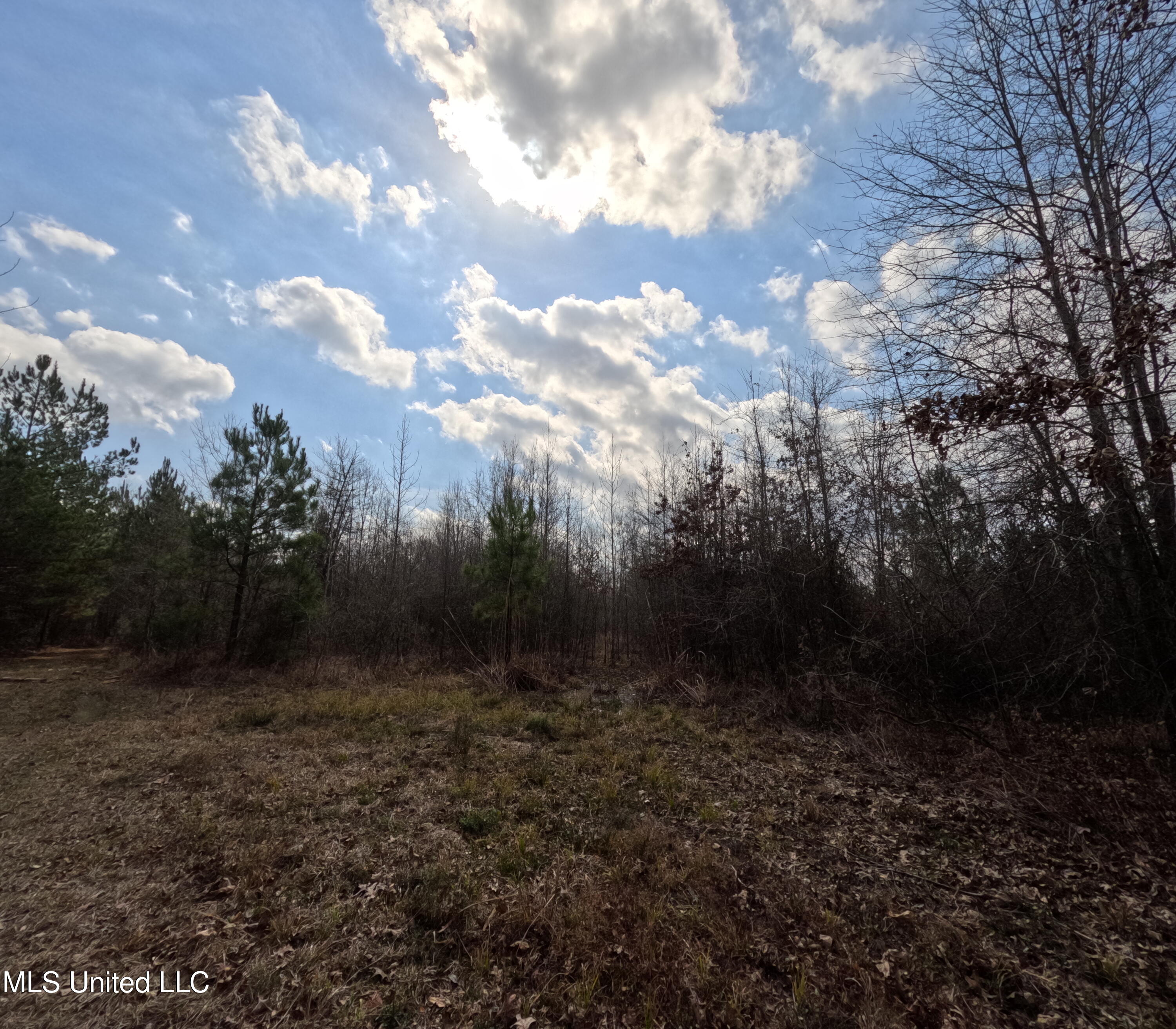 Rockport New Hebron Road Newhebron, MS 39140 - Photo 31 of 59 GOPR0853