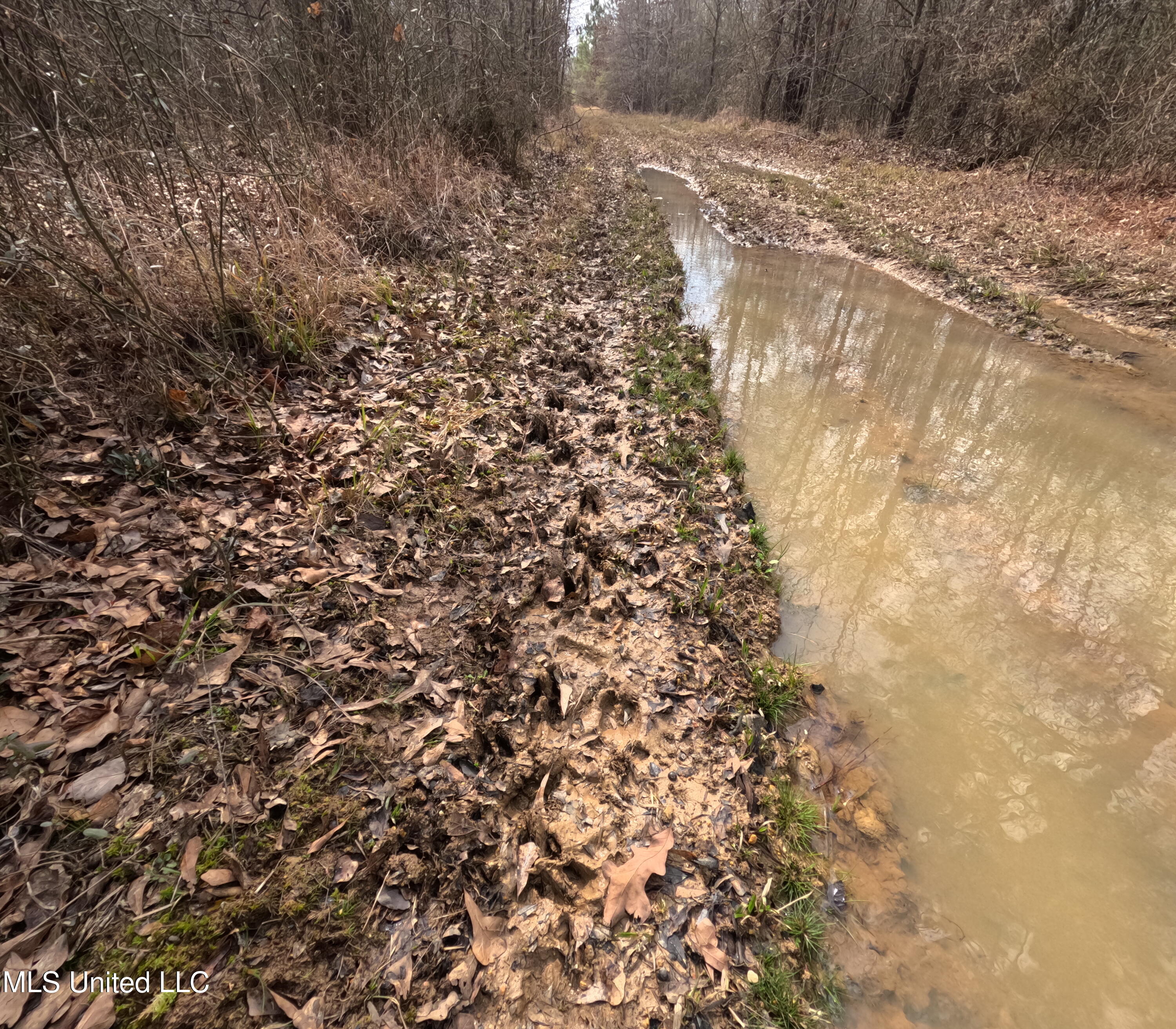 Rockport New Hebron Road Newhebron, MS 39140 - Photo 33 of 59 GOPR0857