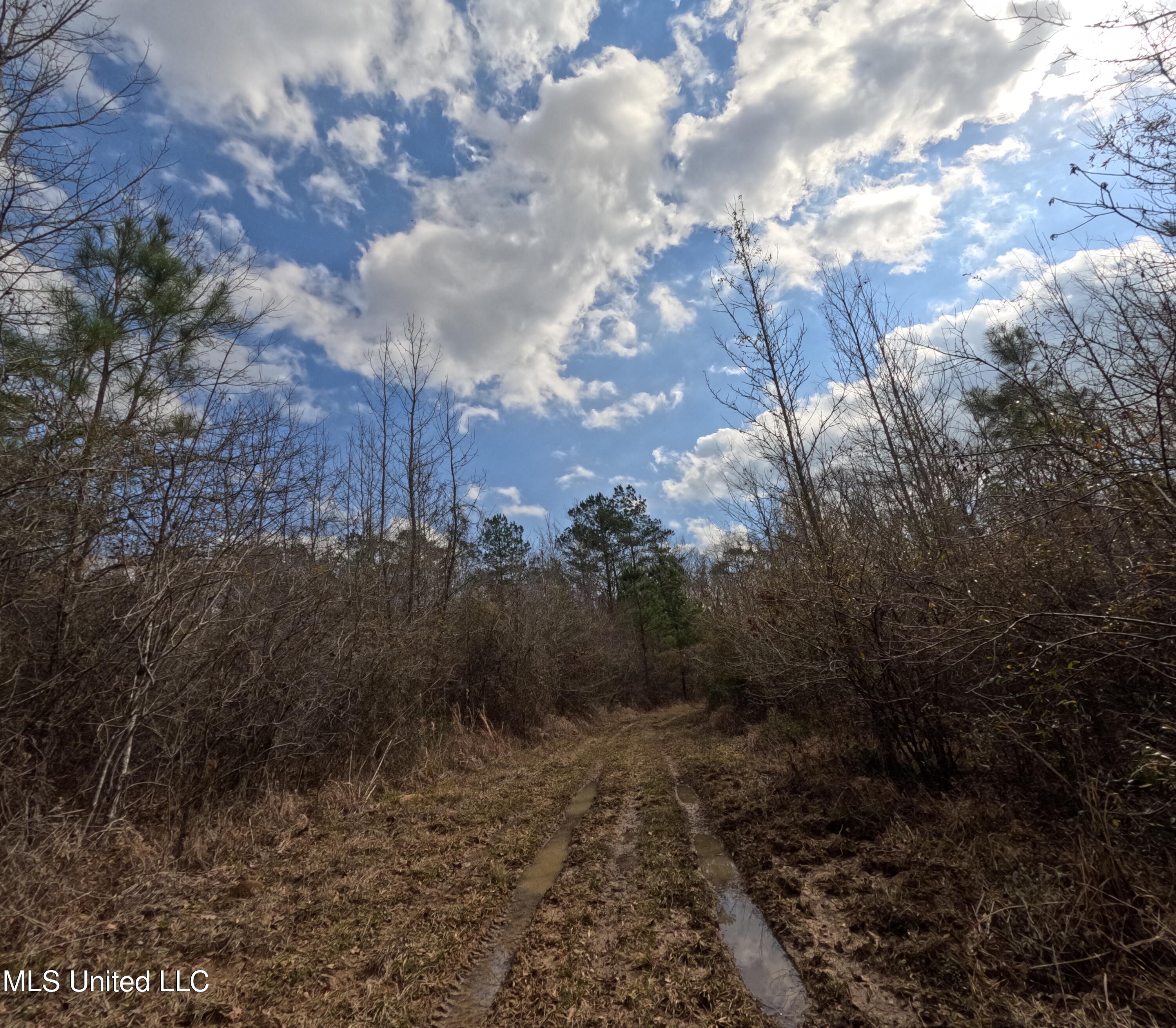 Rockport New Hebron Road Newhebron, MS 39140 - Photo 34 of 59 GOPR0858