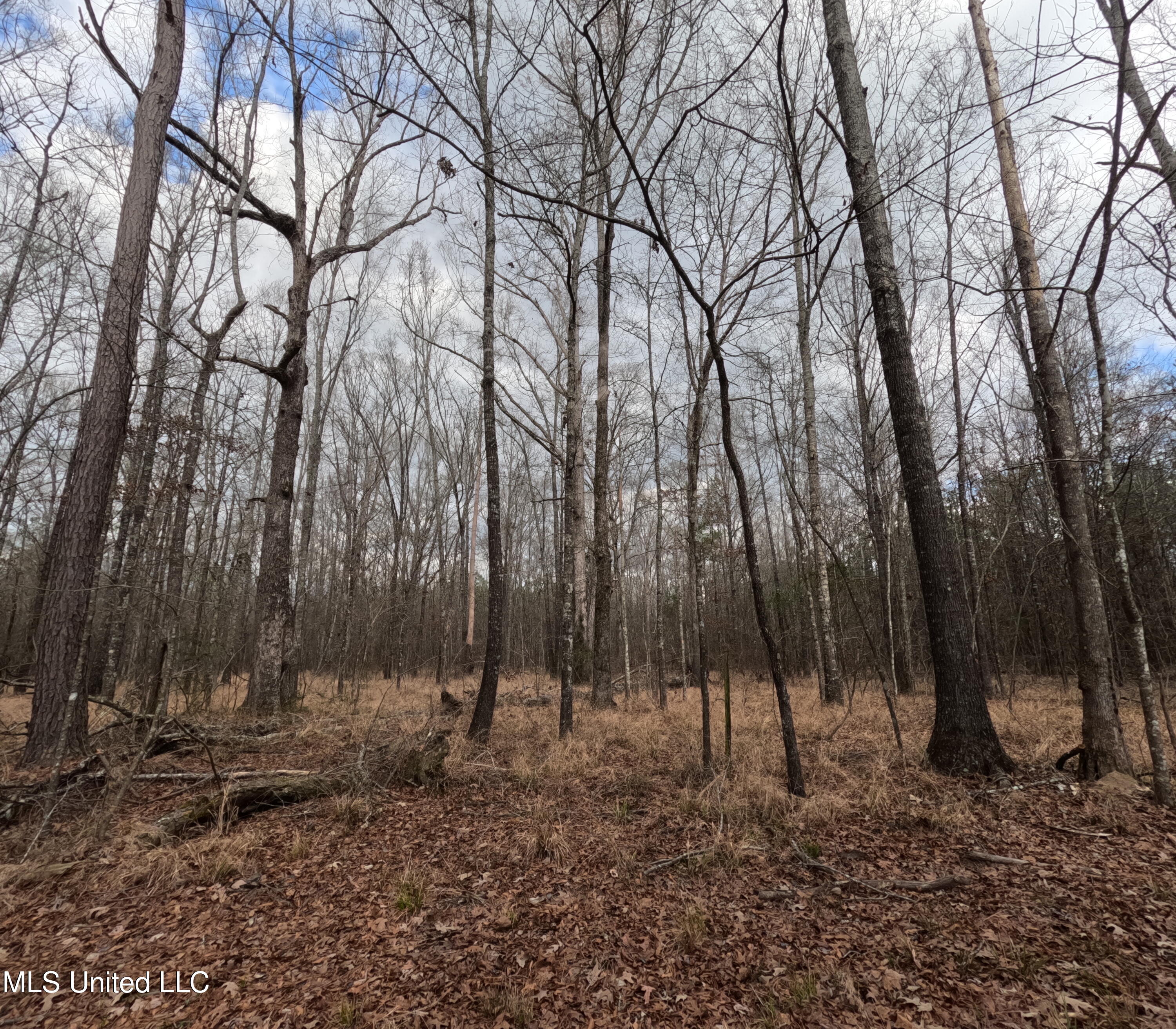 Rockport New Hebron Road Newhebron, MS 39140 - Photo 35 of 59 GOPR0863
