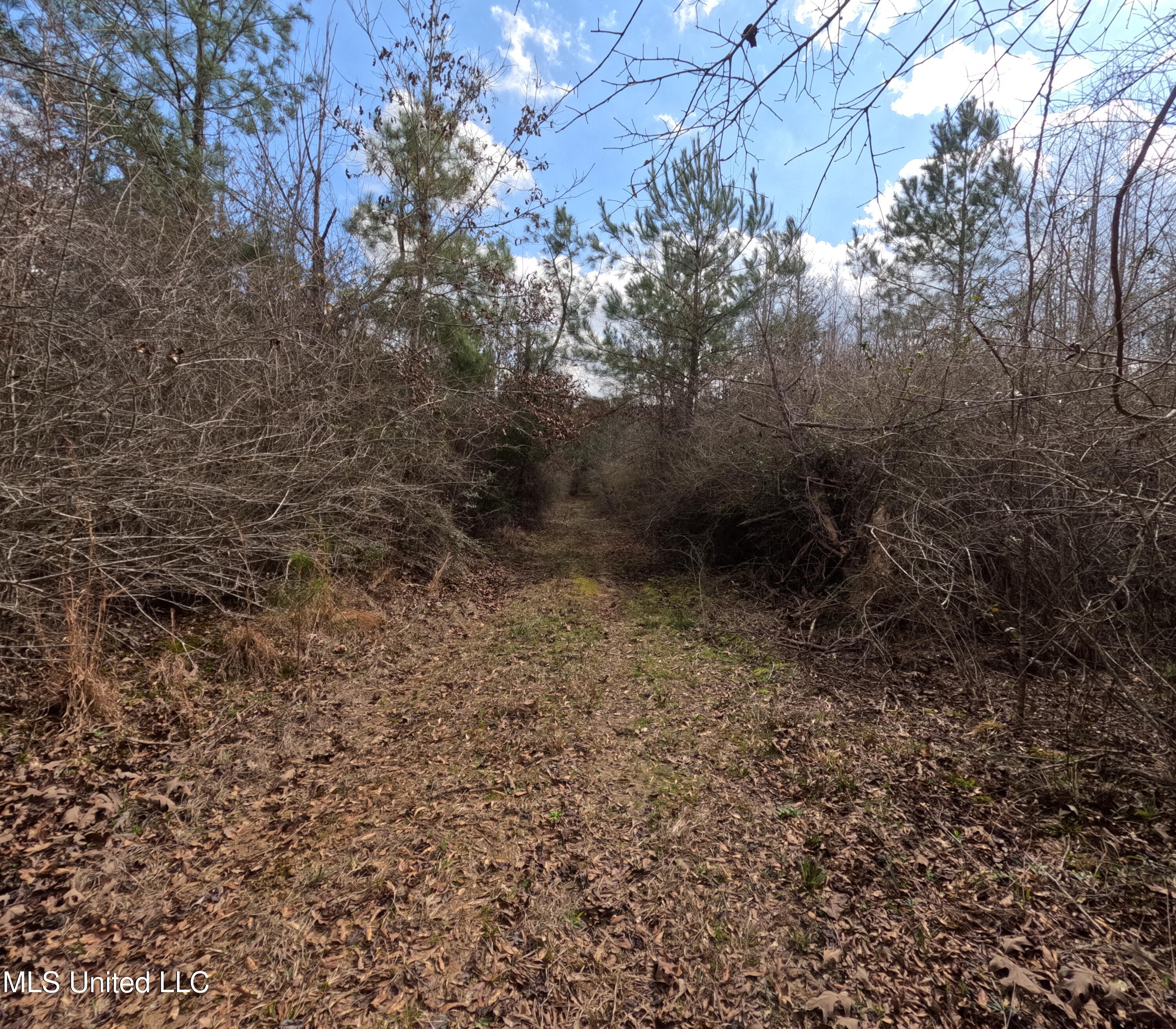 Rockport New Hebron Road Newhebron, MS 39140 - Photo 38 of 59 GOPR0867