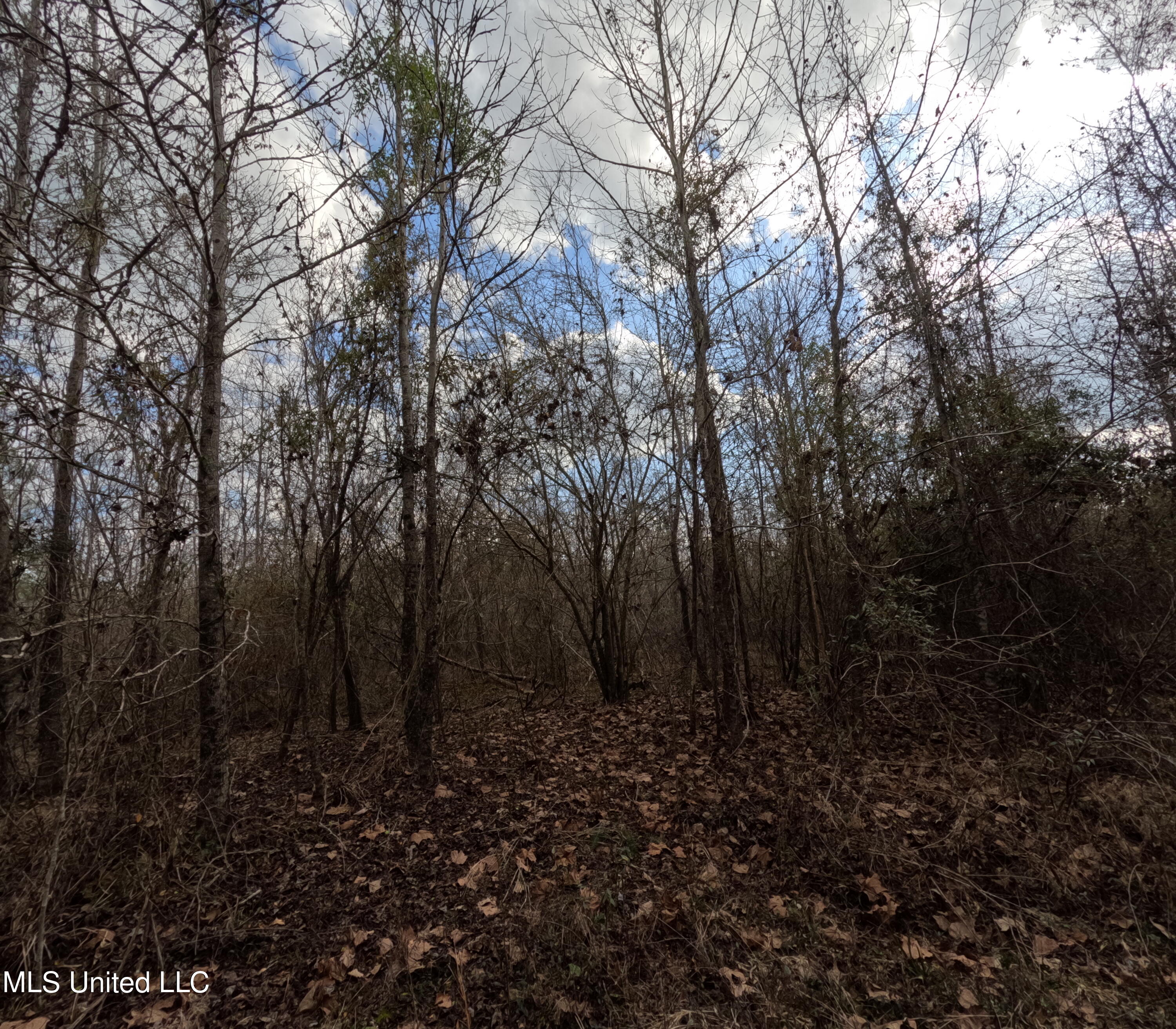 Rockport New Hebron Road Newhebron, MS 39140 - Photo 41 of 59 GOPR0871