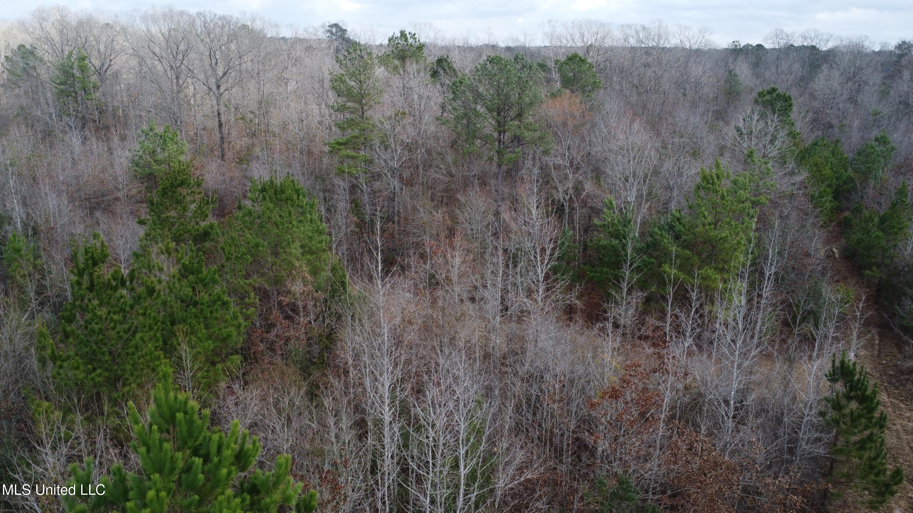 Rockport New Hebron Road Newhebron, MS 39140 - Photo 43 of 59 DJI_0726