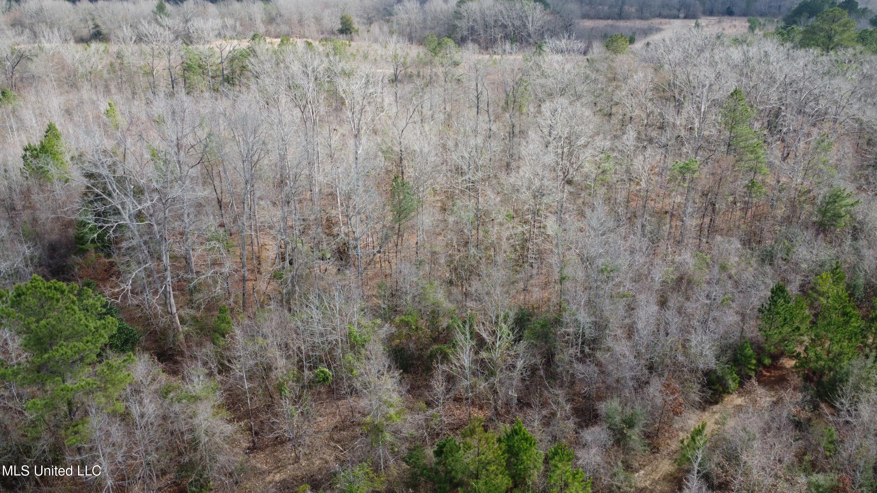 Rockport New Hebron Road Newhebron, MS 39140 - Photo 47 of 59 DJI_0730