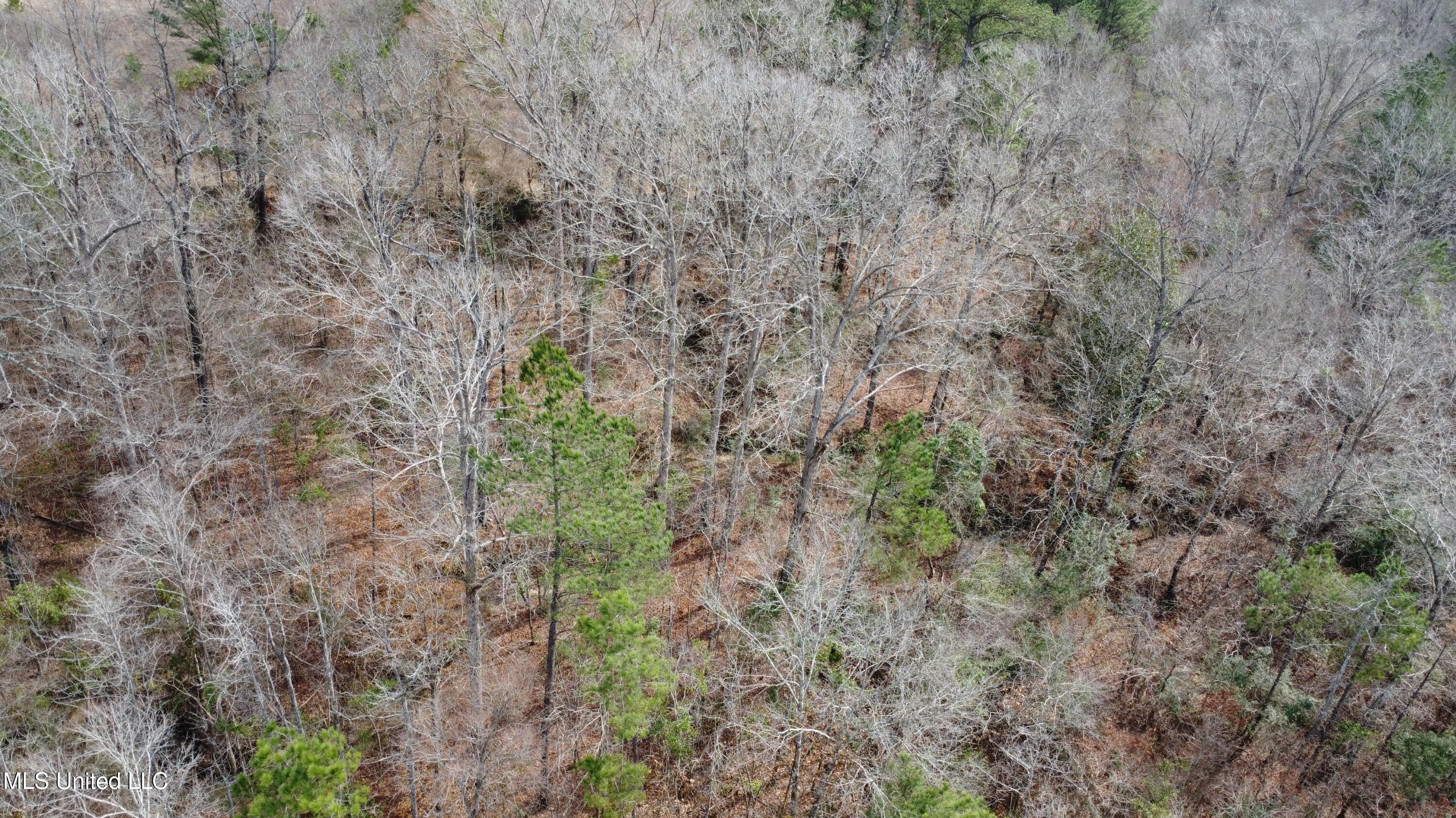 Rockport New Hebron Road Newhebron, MS 39140 - Photo 49 of 59 DJI_0732