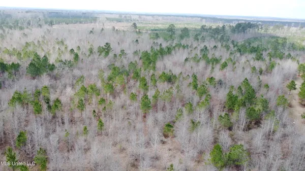 $378,000 | Rockport New Hebron Road, Newhebron, MS 39140