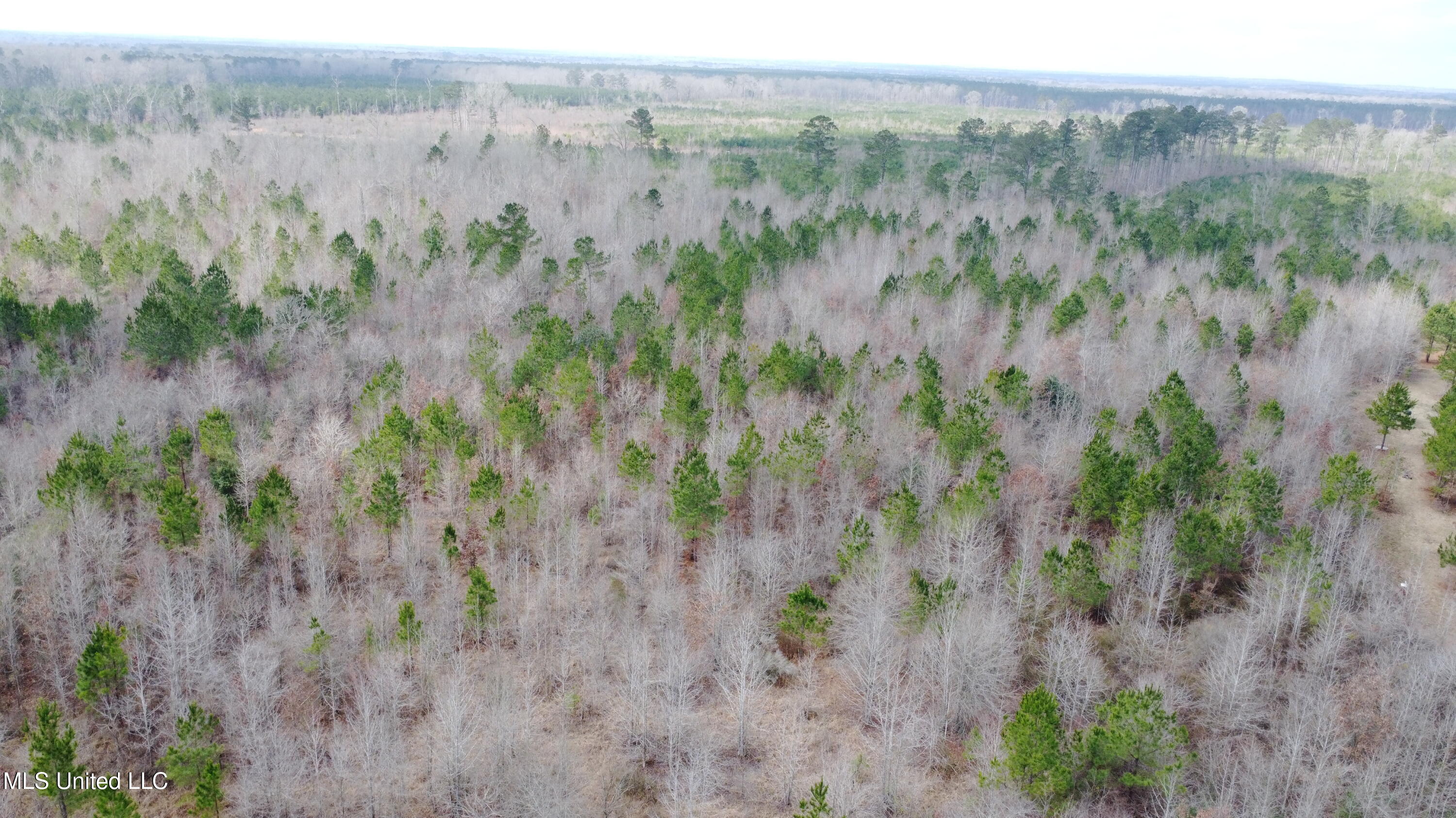 Rockport New Hebron Road Newhebron, MS 39140 - Photo 50 of 59 DJI_0733