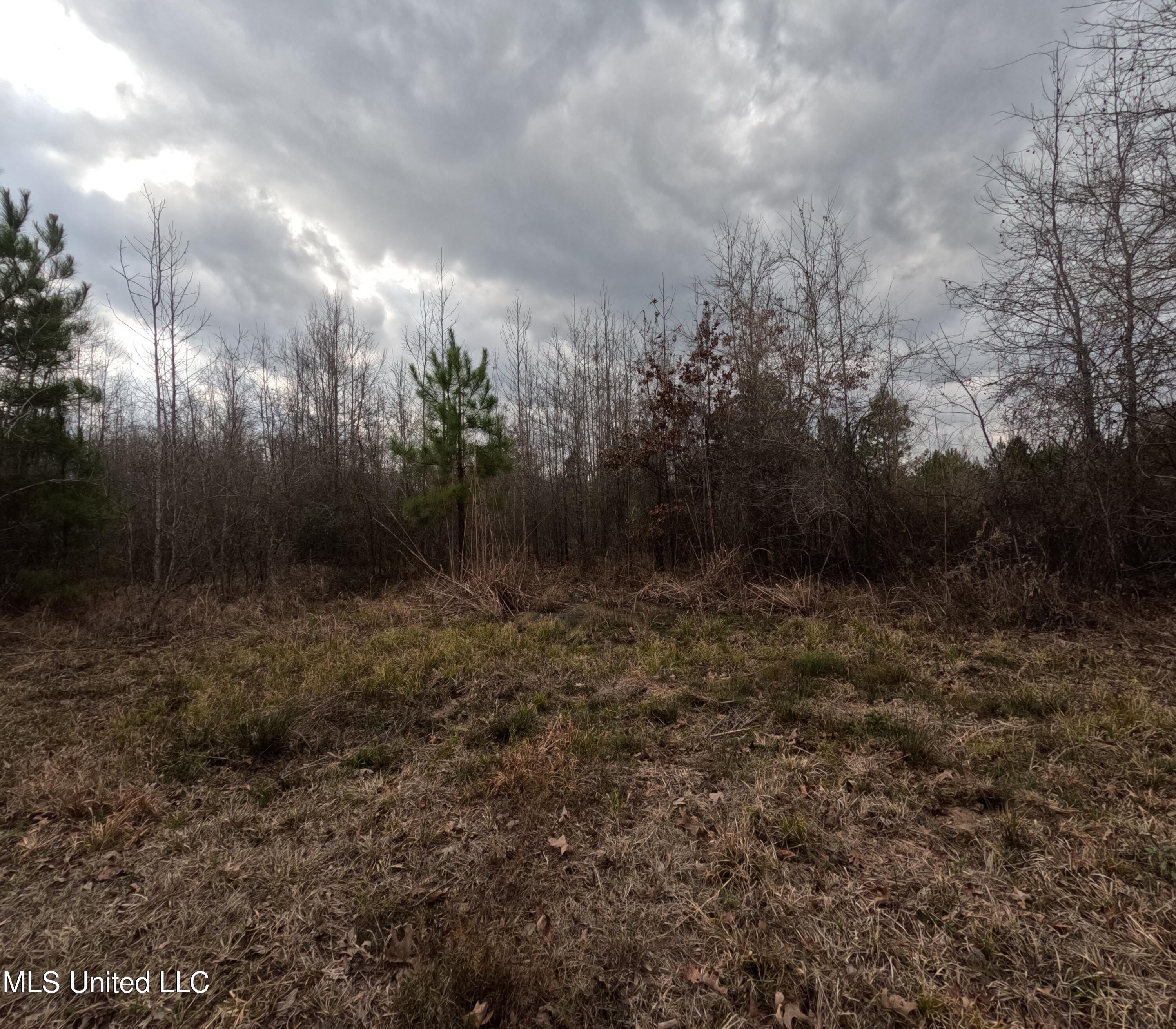 Rockport New Hebron Road Newhebron, MS 39140 - Photo 5 of 59 GOPR0817