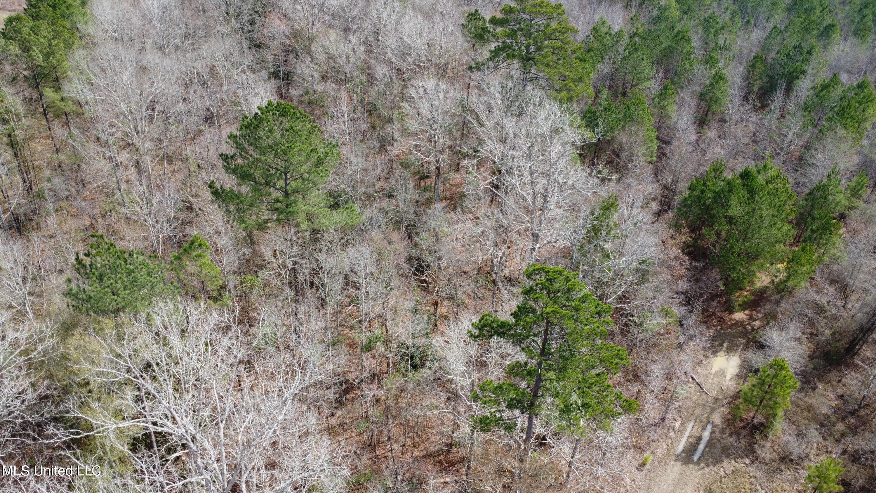 Rockport New Hebron Road Newhebron, MS 39140 - Photo 52 of 59 DJI_0735