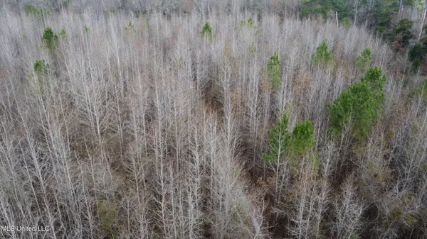 $378,000 | Rockport New Hebron Road, Newhebron, MS 39140