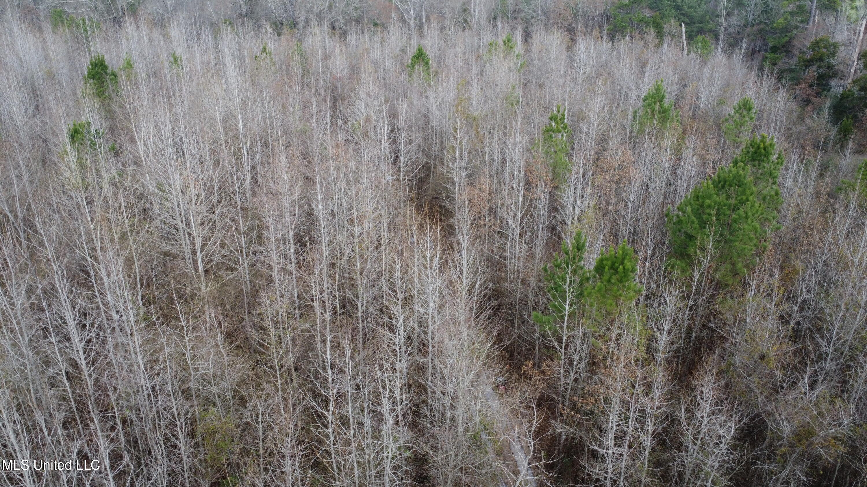 Rockport New Hebron Road Newhebron, MS 39140 - Photo 54 of 59 DJI_0737