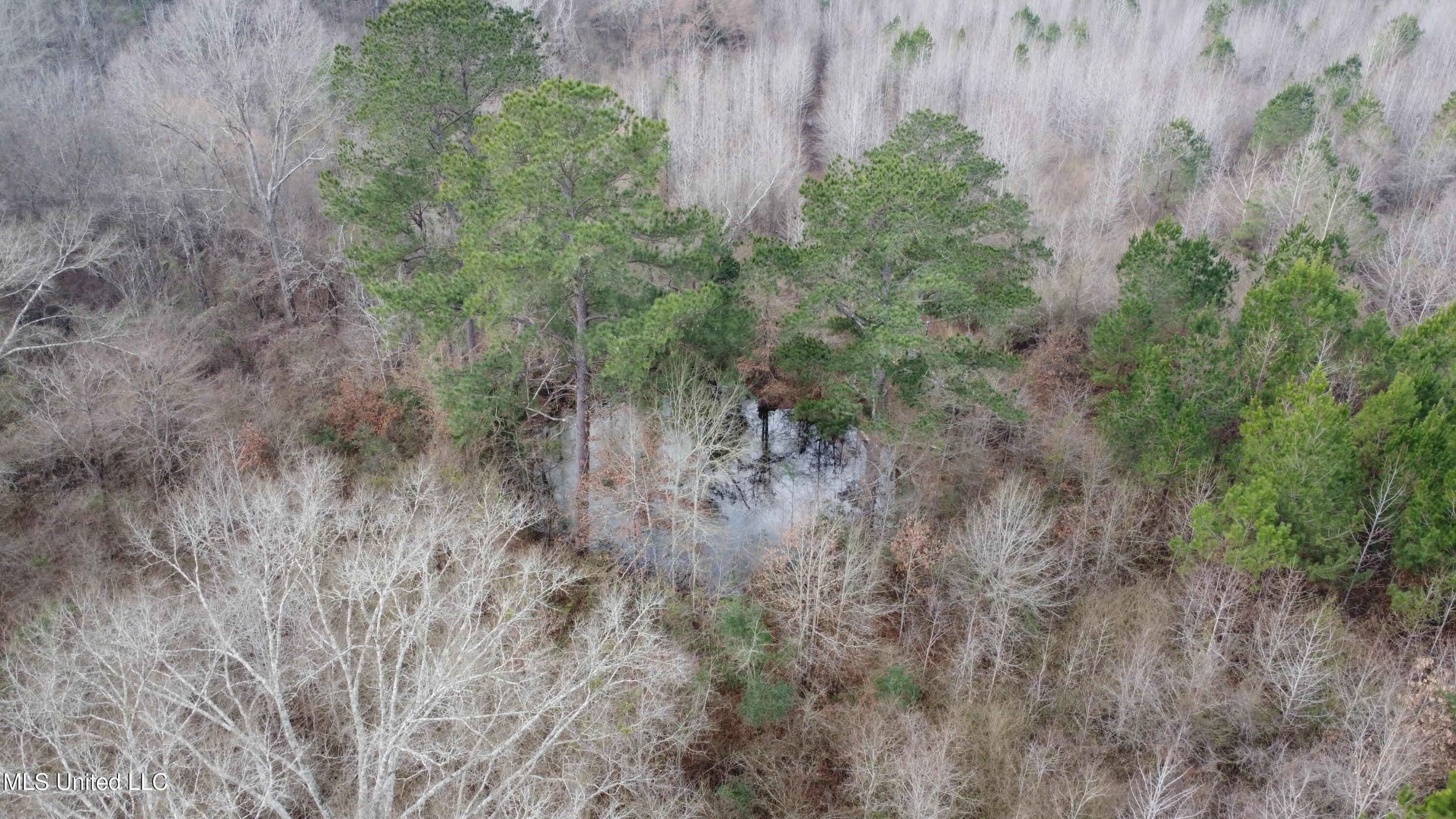 Rockport New Hebron Road Newhebron, MS 39140 - Photo 55 of 59 DJI_0738