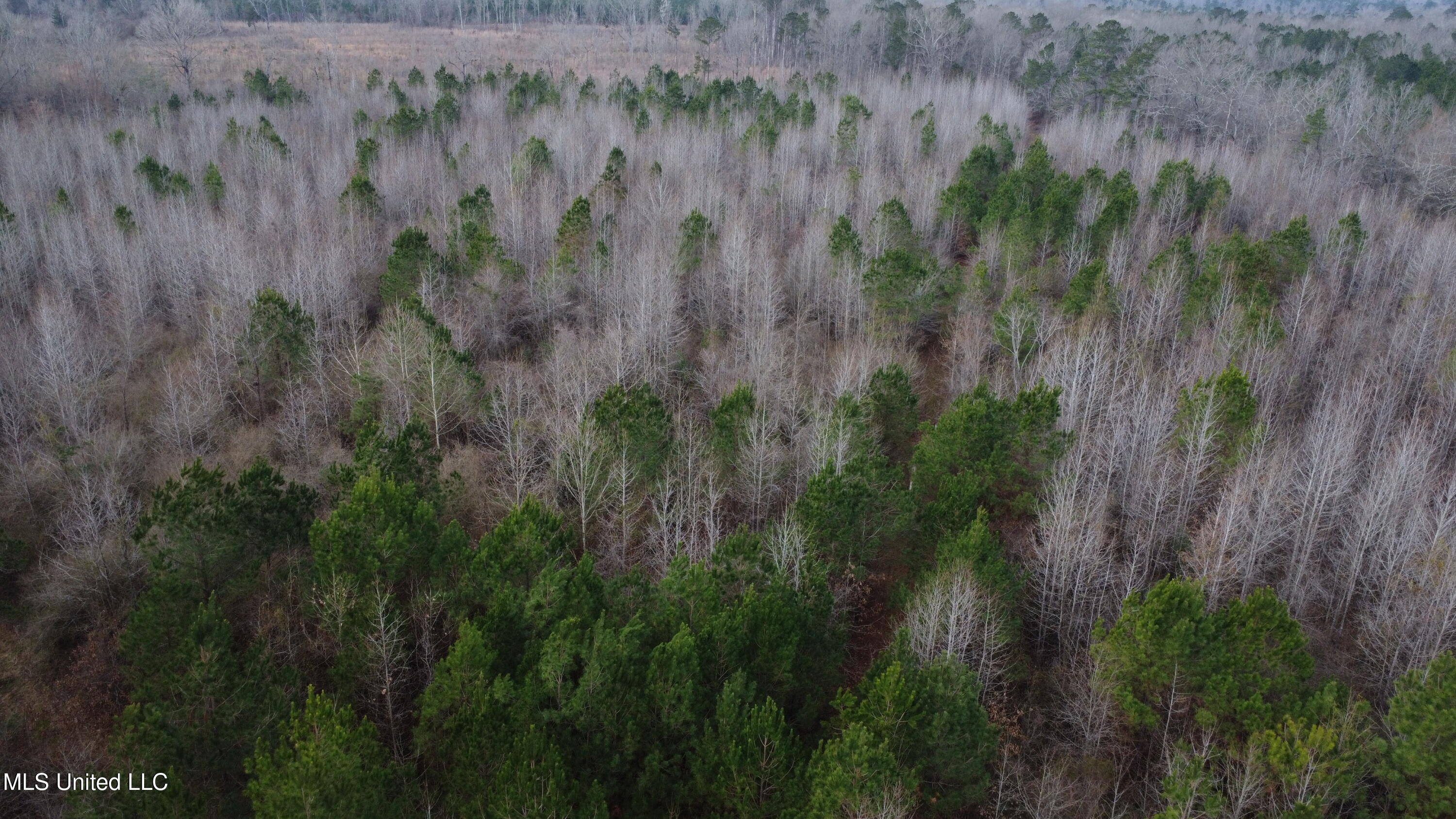 Rockport New Hebron Road Newhebron, MS 39140 - Photo 56 of 59 DJI_0739