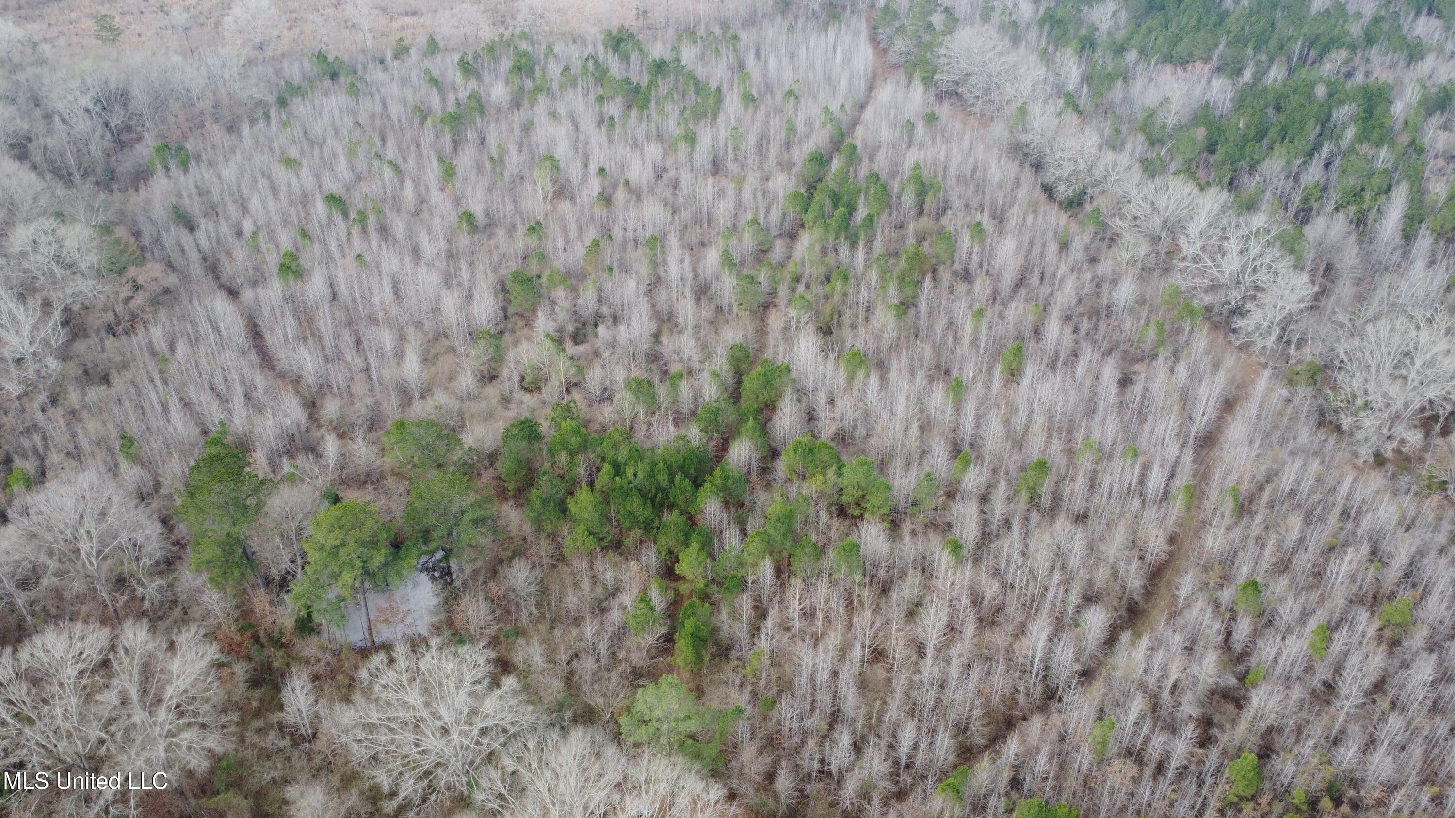 Rockport New Hebron Road Newhebron, MS 39140 - Photo 57 of 59 DJI_0740