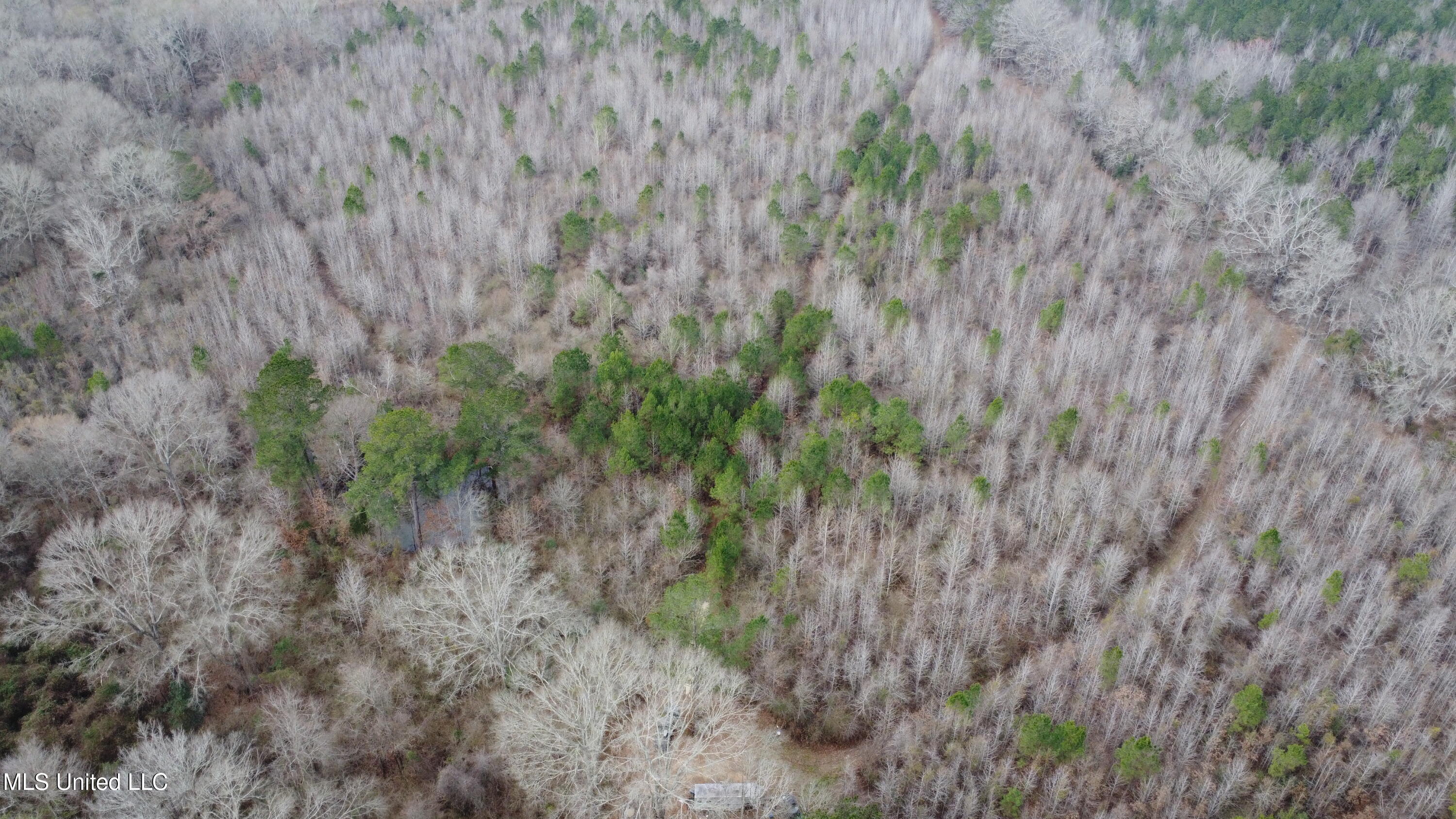Rockport New Hebron Road Newhebron, MS 39140 - Photo 59 of 59 DJI_0742