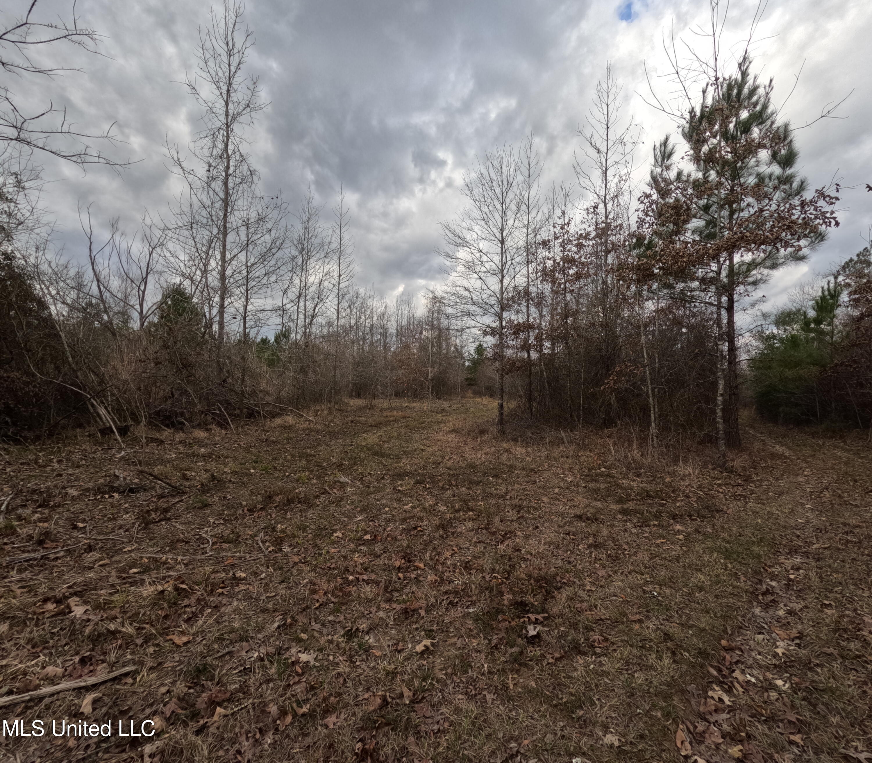 Rockport New Hebron Road Newhebron, MS 39140 - Photo 6 of 59 GOPR0818