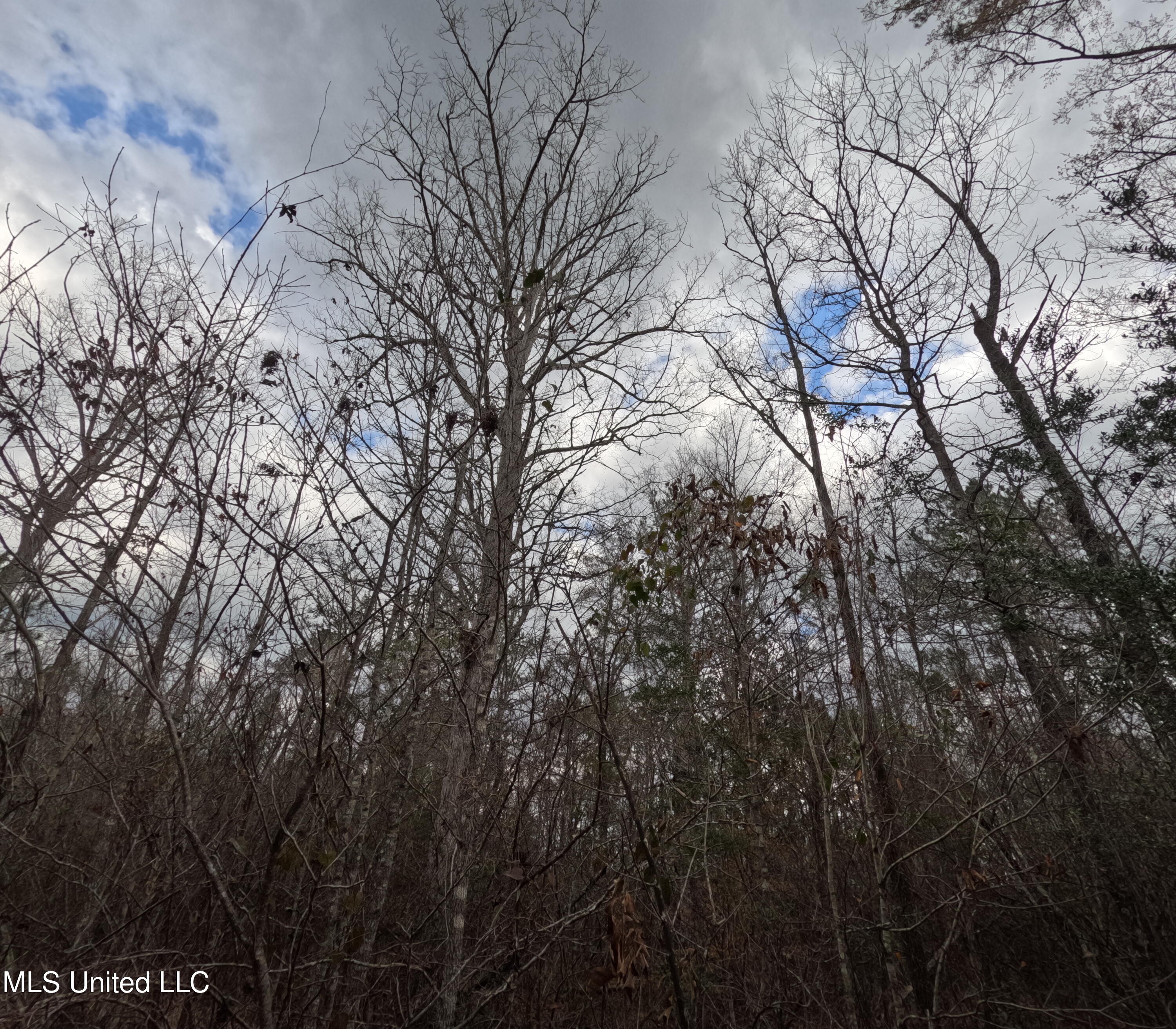 Rockport New Hebron Road Newhebron, MS 39140 - Photo 7 of 59 GOPR0819