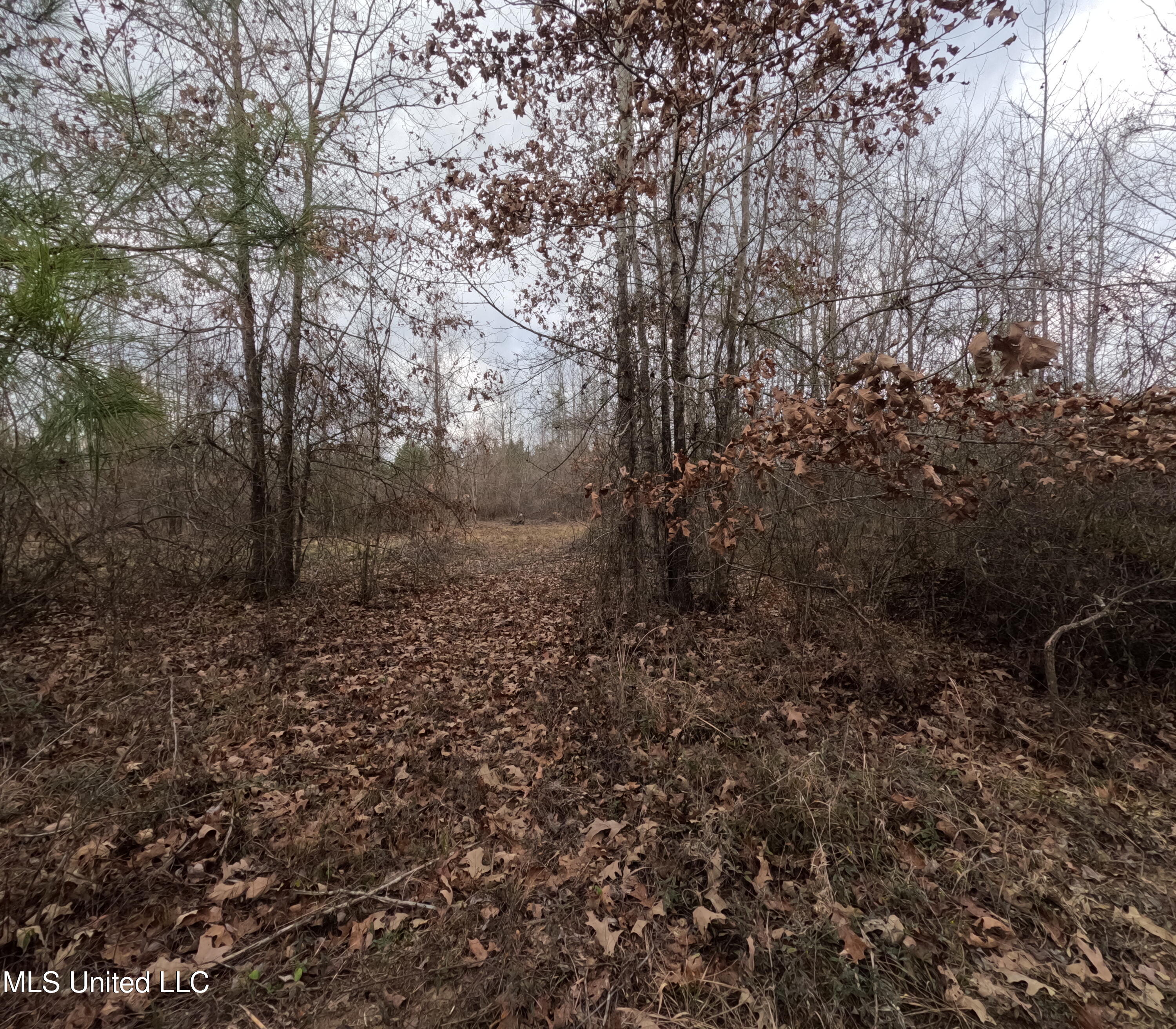 Rockport New Hebron Road Newhebron, MS 39140 - Photo 8 of 59 GOPR0820