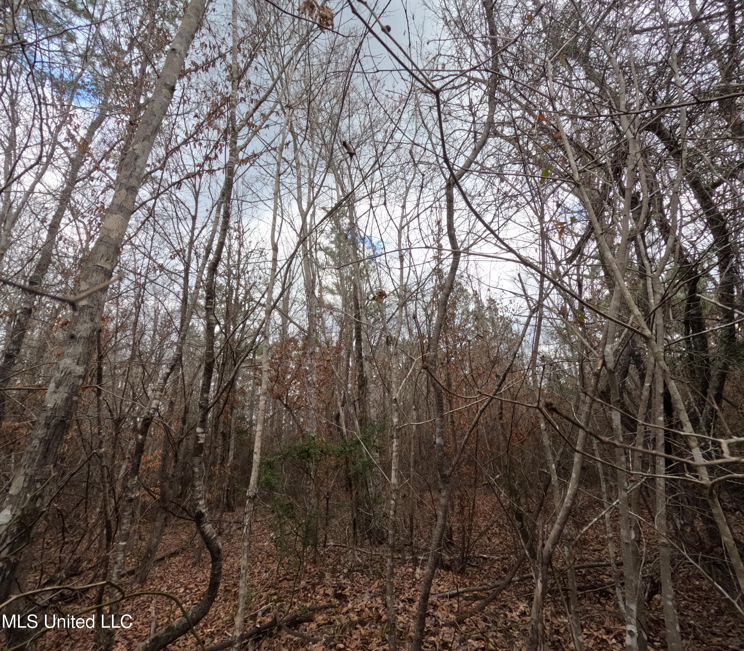 Rockport New Hebron Road Newhebron, MS 39140 - Photo 9 of 59 GOPR0821