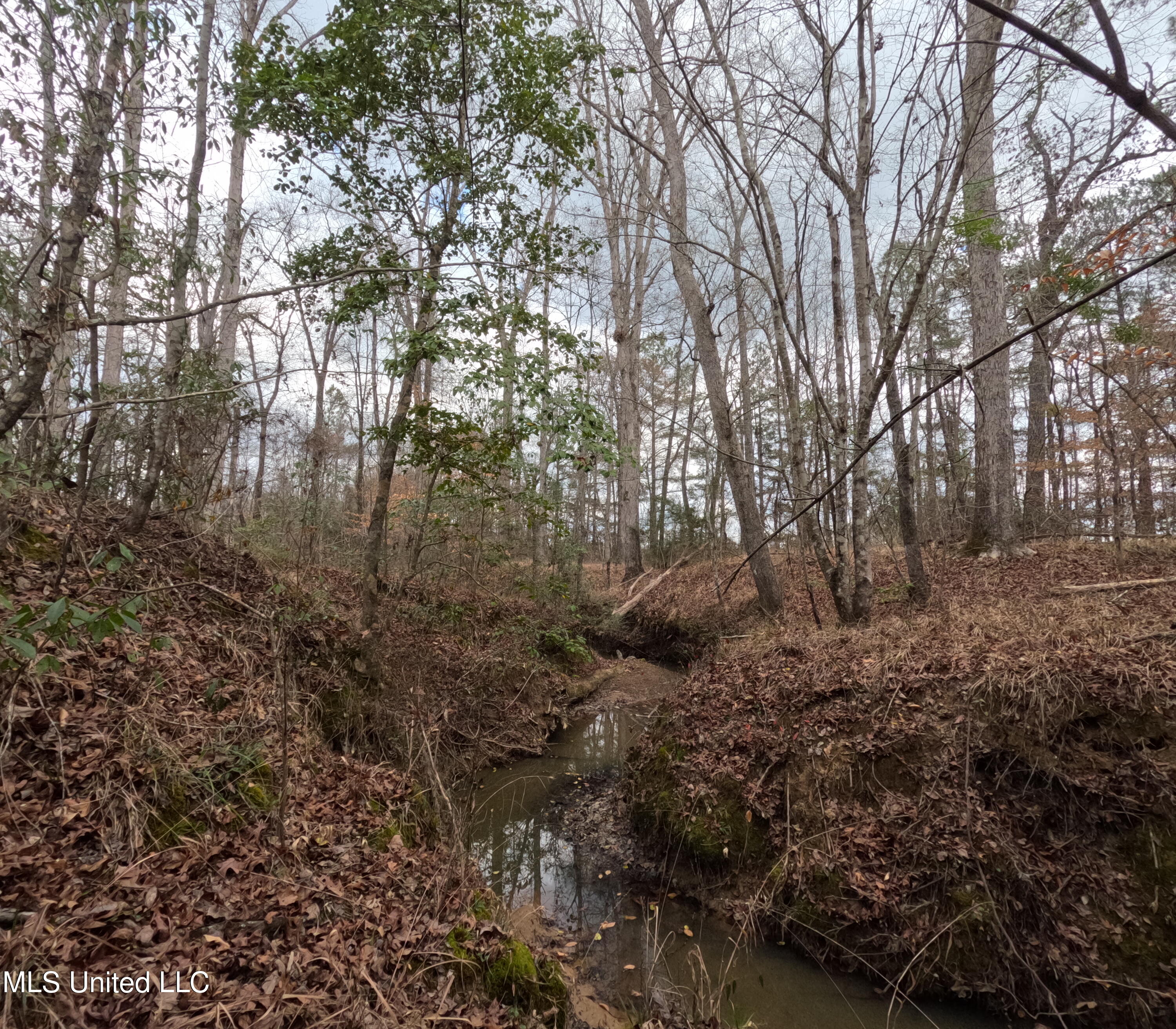 Rockport New Hebron Road Newhebron, MS 39140 - Photo 10 of 59 GOPR0824